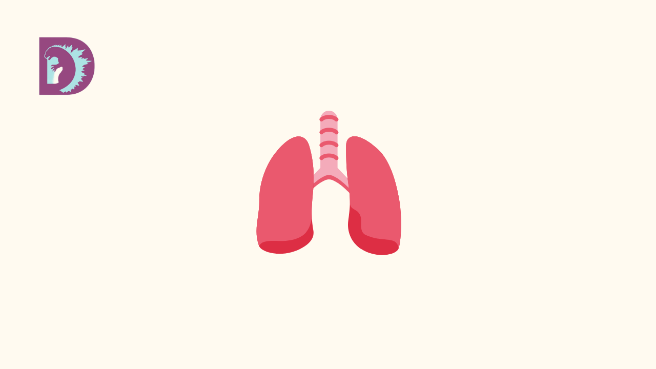 Simple Breathing Techniques That Saved My Temper