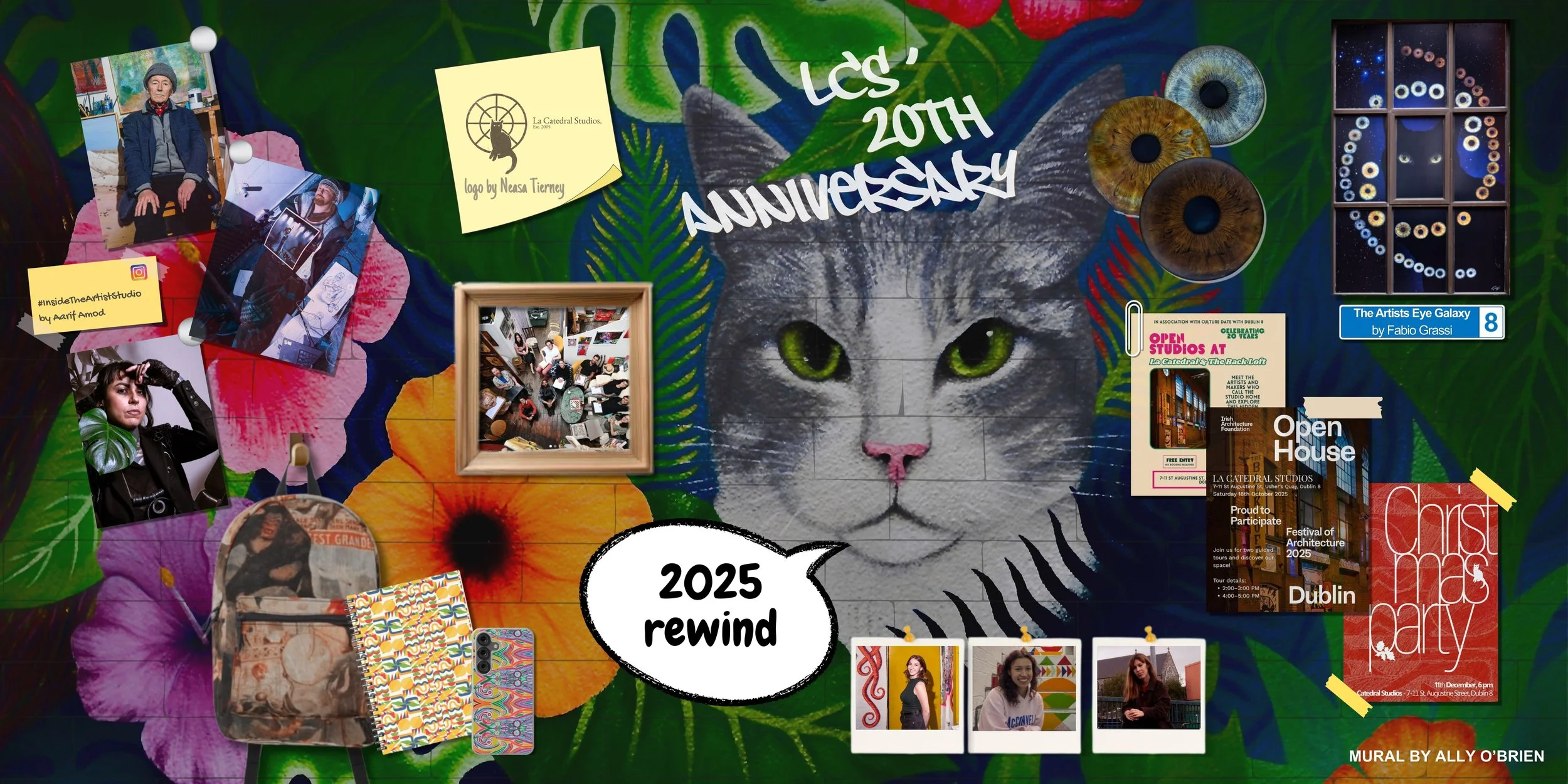 From Fingerprints to Galaxies:                                        A Year in Our Walls