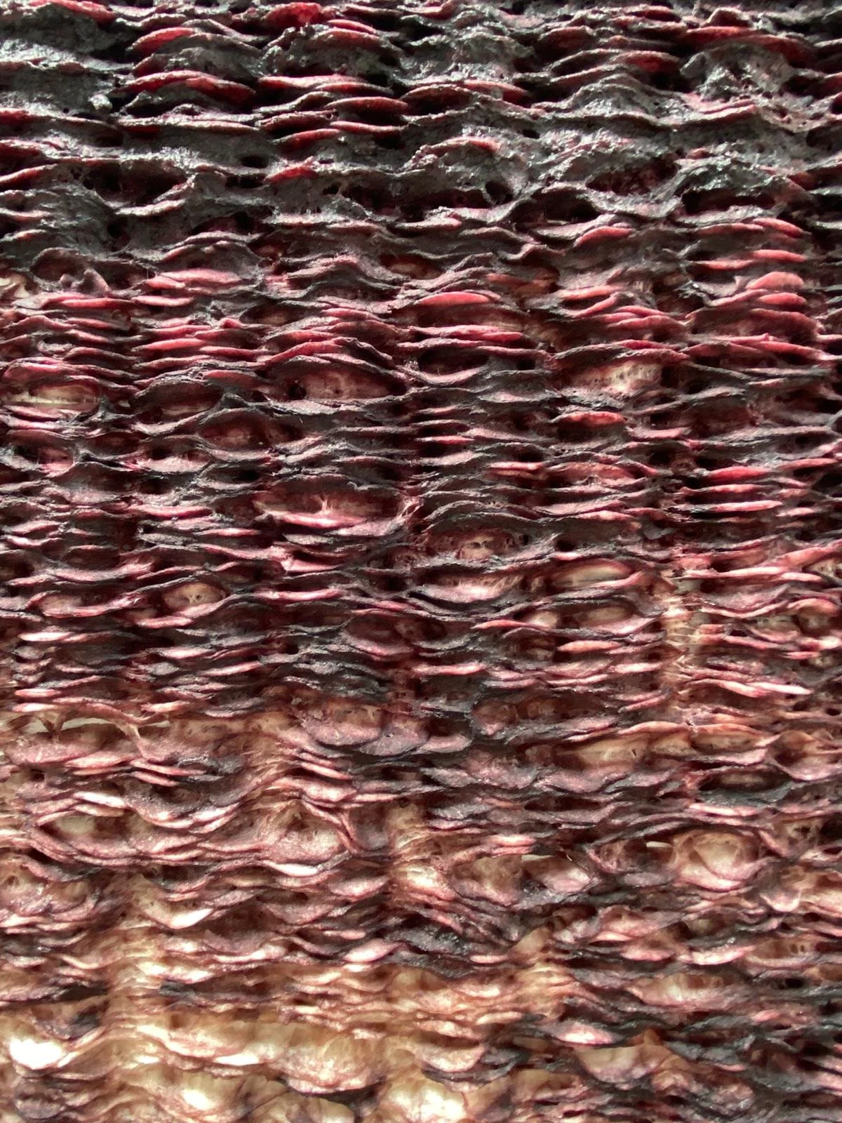 Olwen Kelly: where material holds memory and quiet resistance