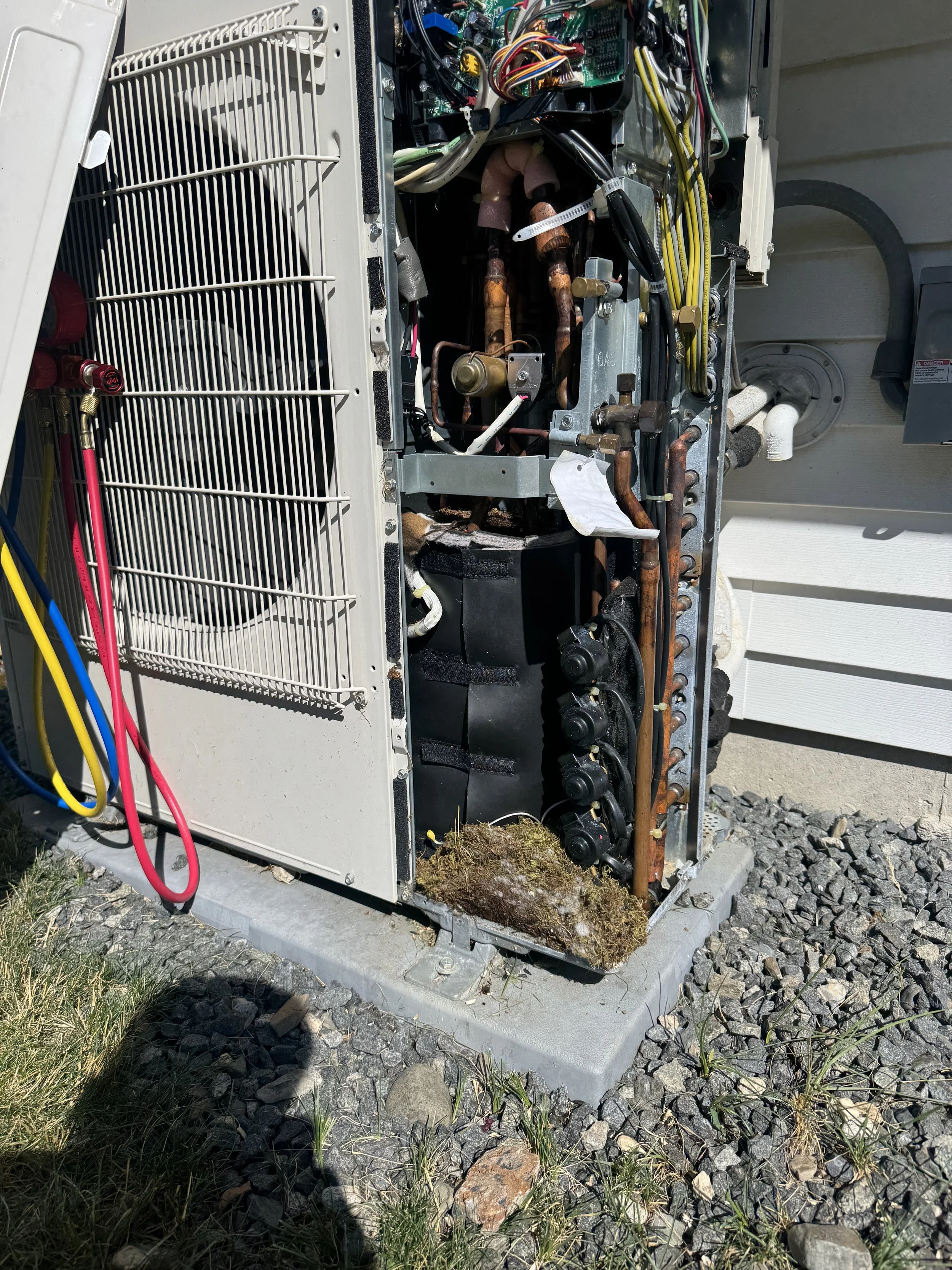 Open outdoor air conditioning unit showing internal components, copper pipes, electrical wiring, and a mossy base.