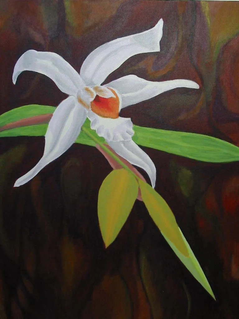 Hvid orkidé / 60 x 50 cm / 2.100 kr.