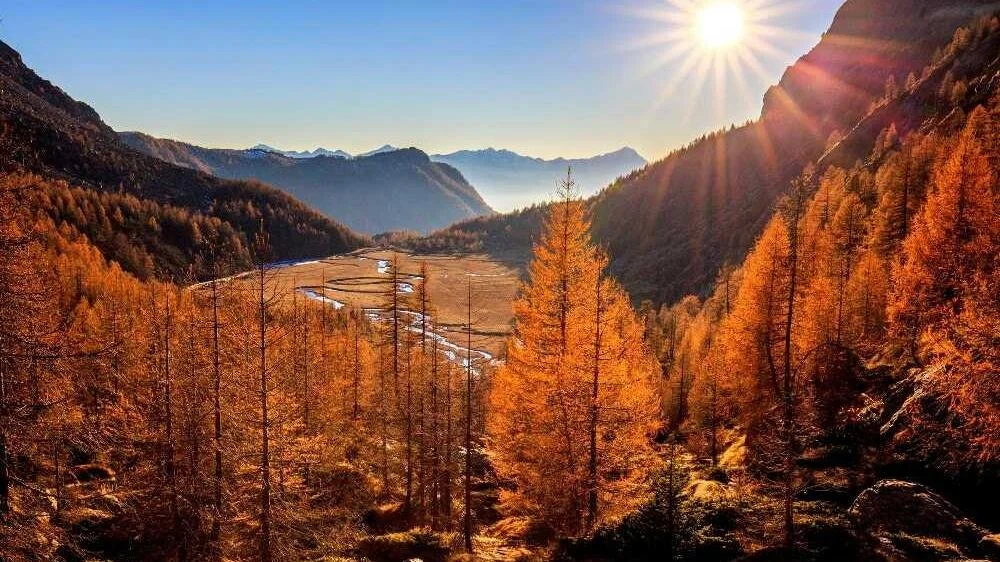 predarossa-autunno.jpg