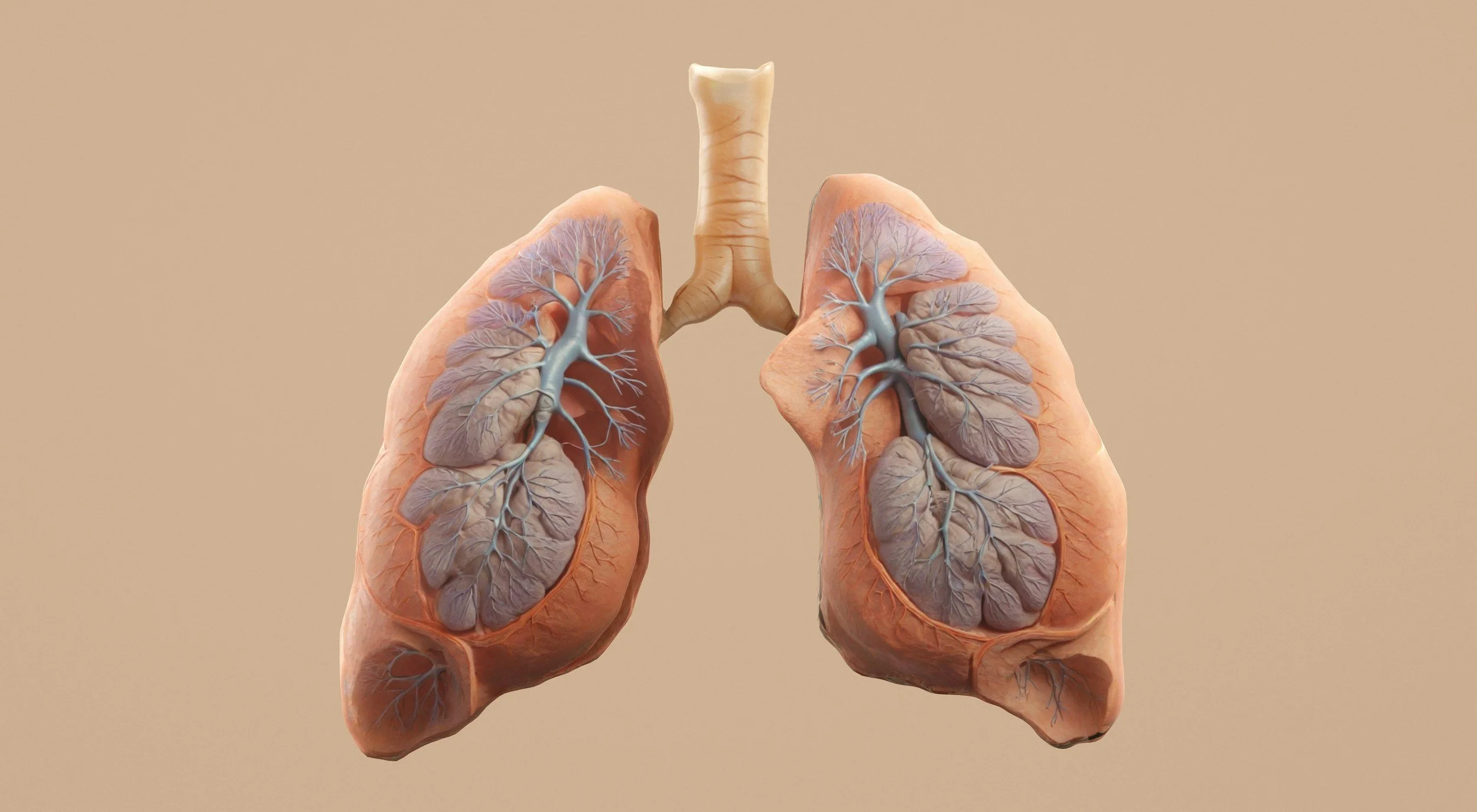 Metodo Buteyko e Oxygen Advantage: il potere di respirare «meno»