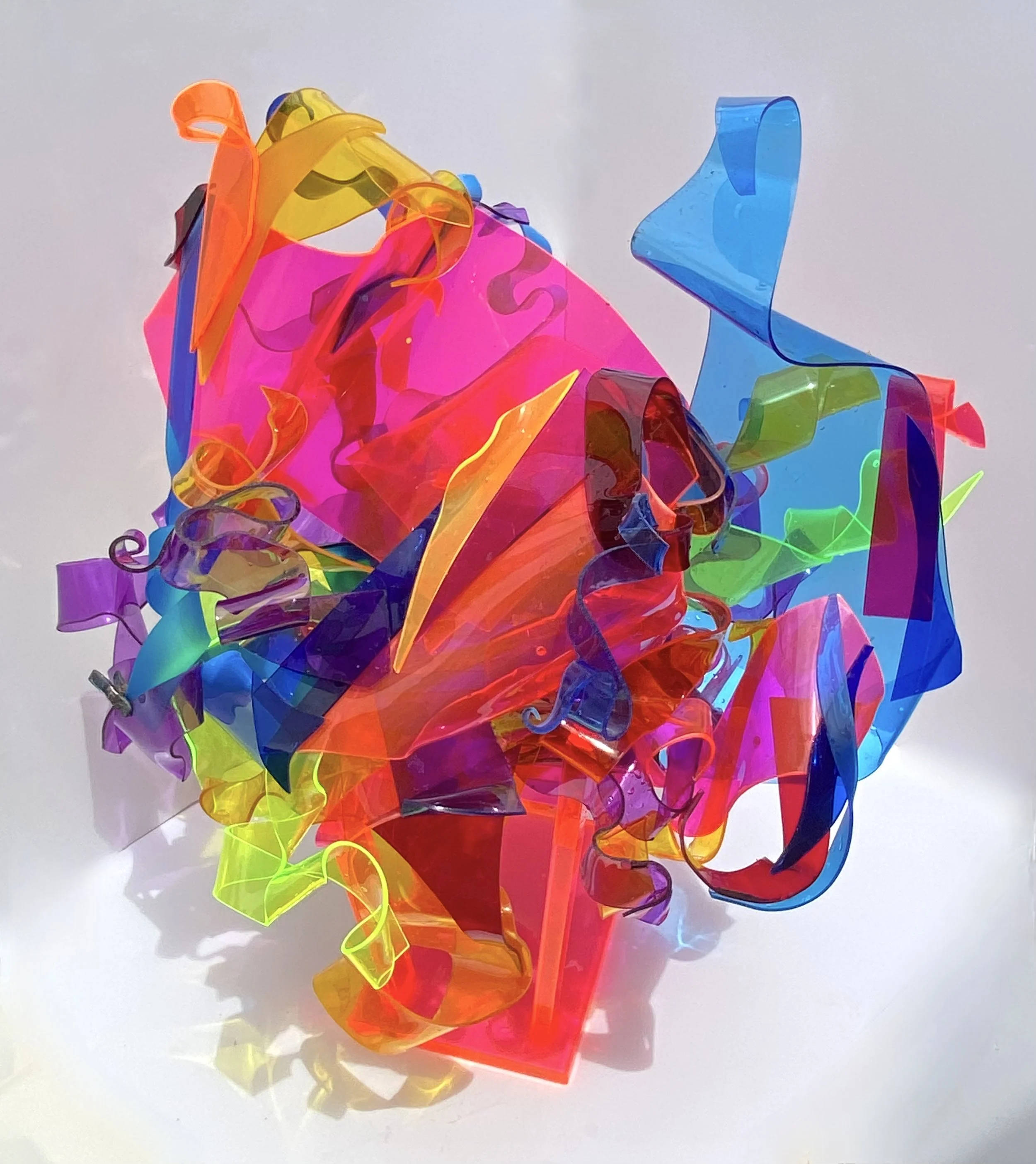 Barbara Januszkiewicz