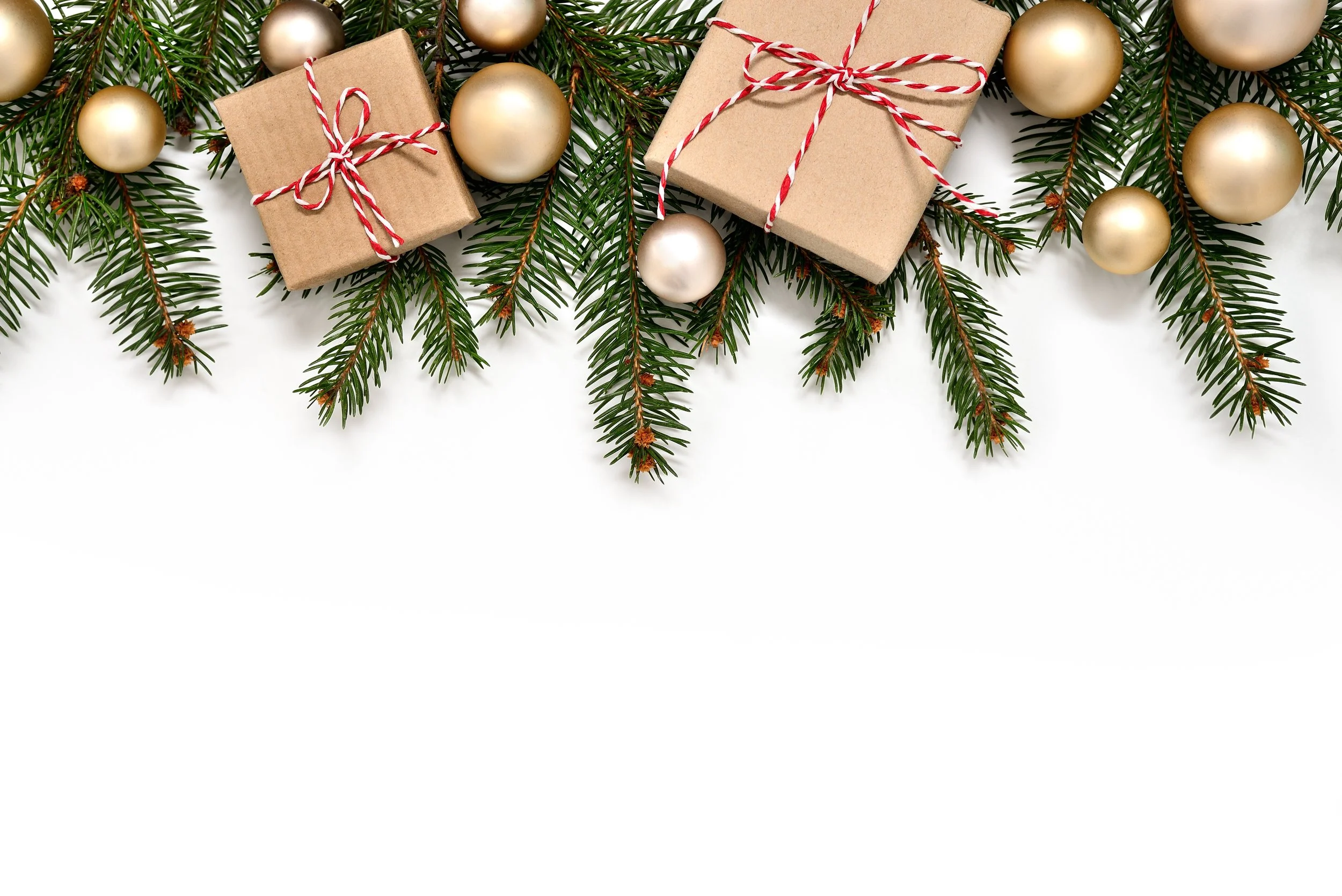 HOLIDAY SKIP-A-PAY