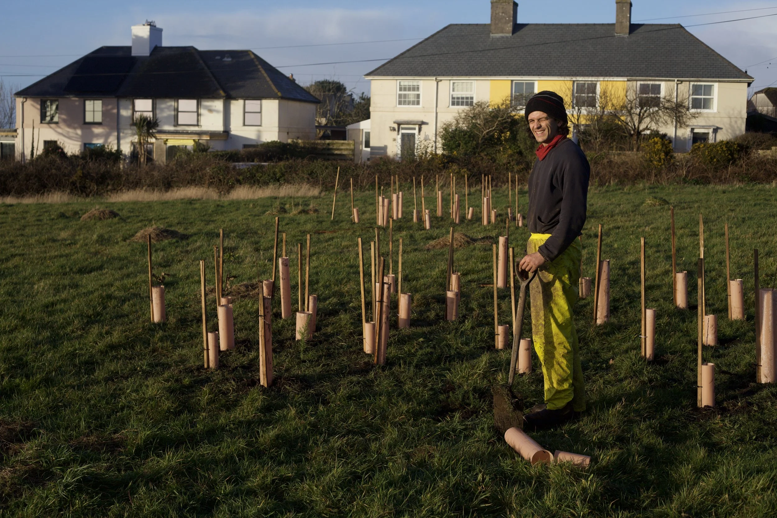 Winter tree planting in west Cornwall