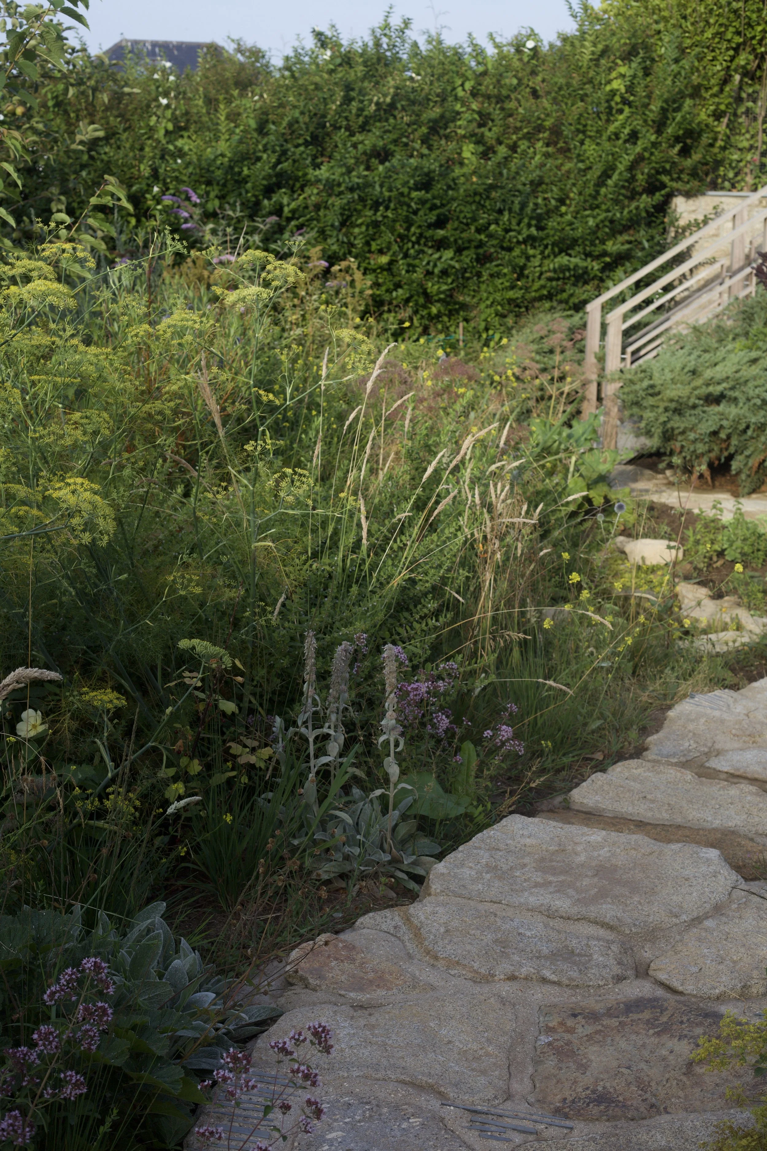Herbaceous planting scheme