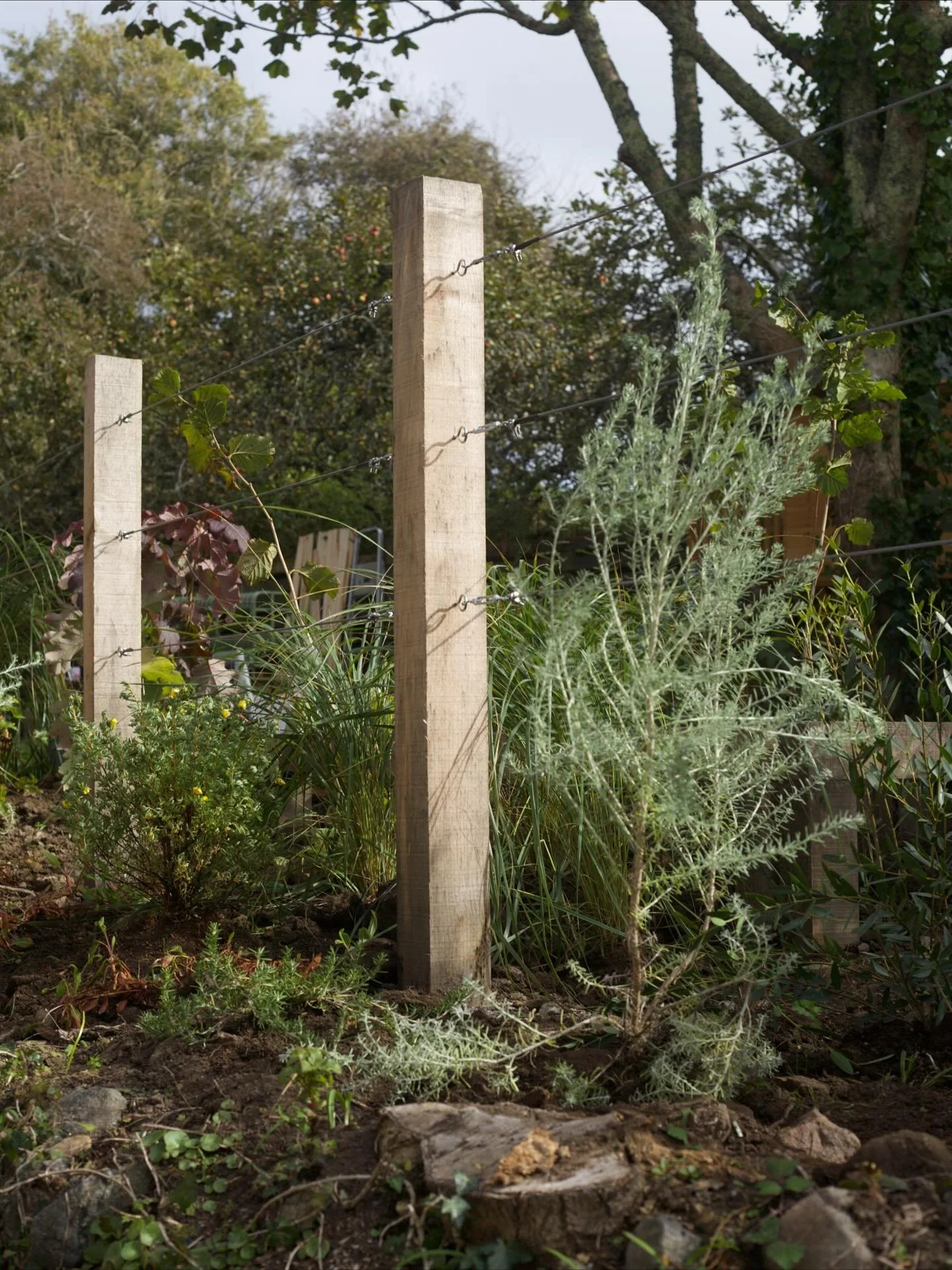Progress photos from newlyn build.

Was good to jump on a smaller project by @zplandscapedesign and help the client take their garden from derelict mess to playground heaven.

Look forward to getting back there to see how it all develops. Lots of lov