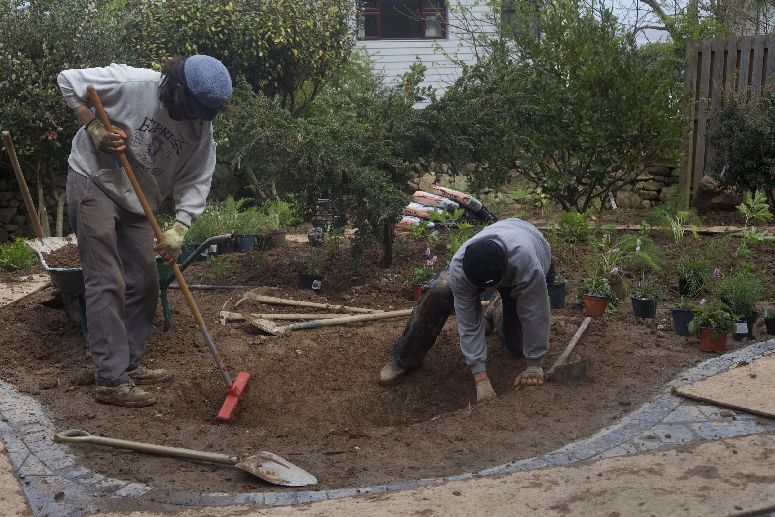 Pond construction