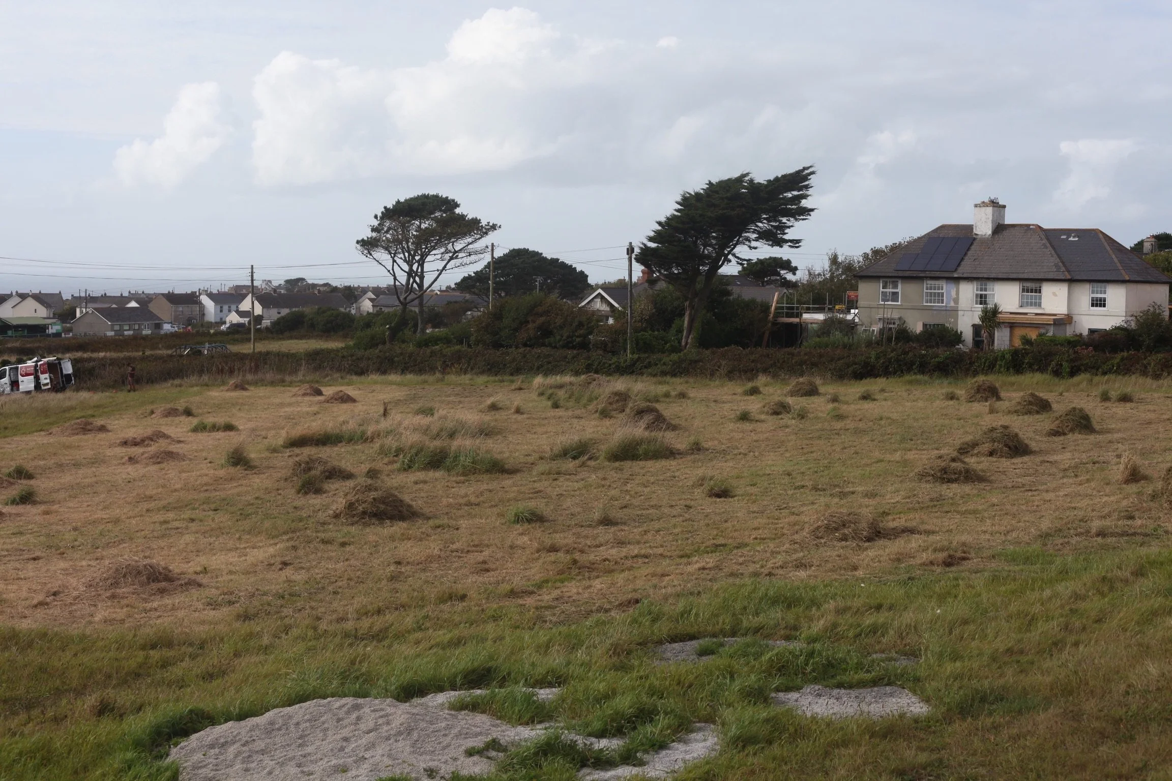 Meadow Grassland management