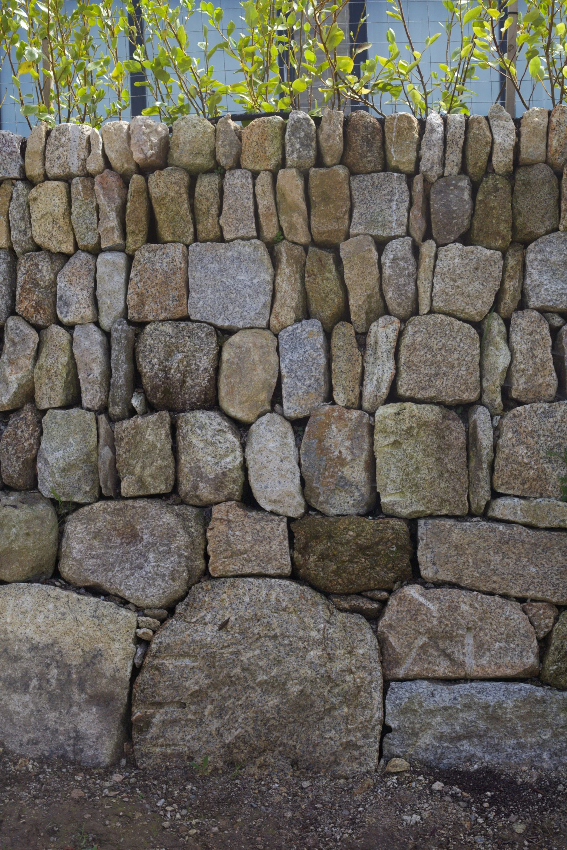 Coursed Granite drystone retaining wall