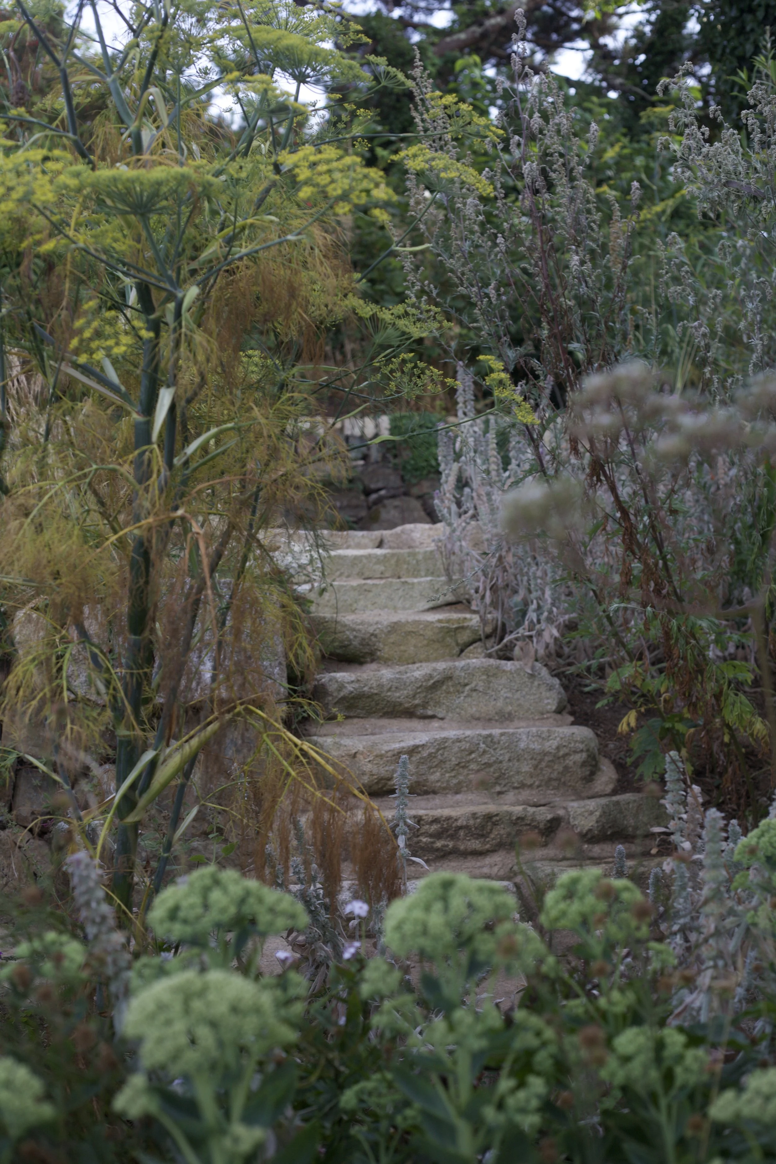 Stone steps