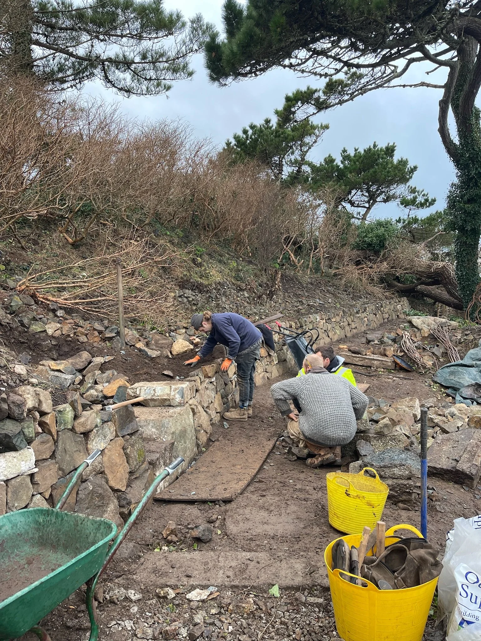 Cornish hedging in process