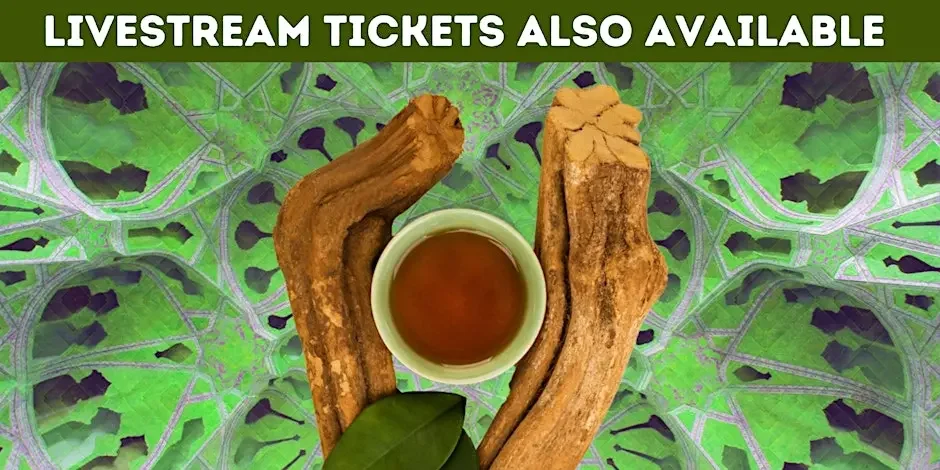 The Science of DMT and Ayahuasca