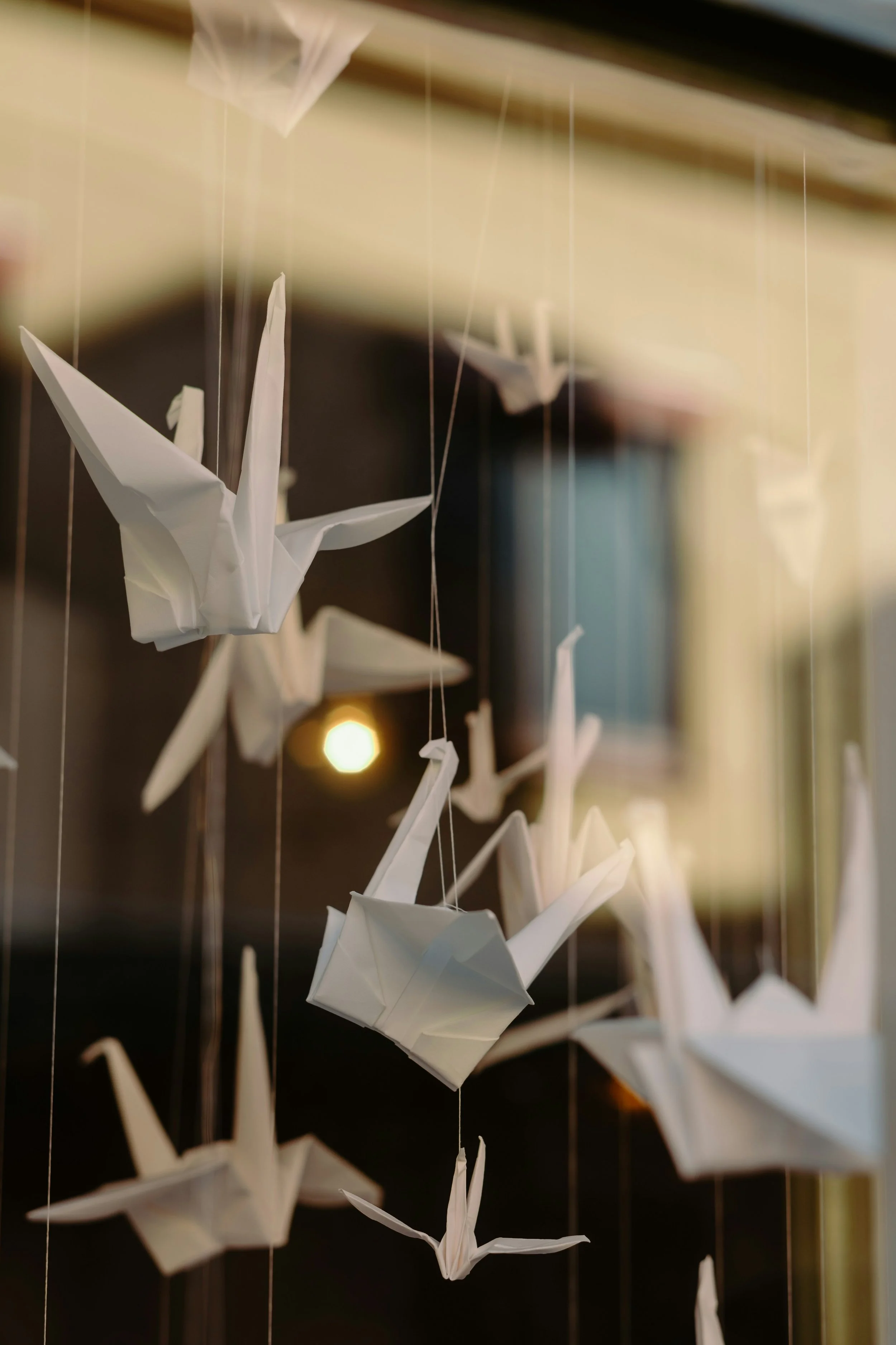 Hanging white origami cranes – symbolizing clarity, transformation, and people-first values