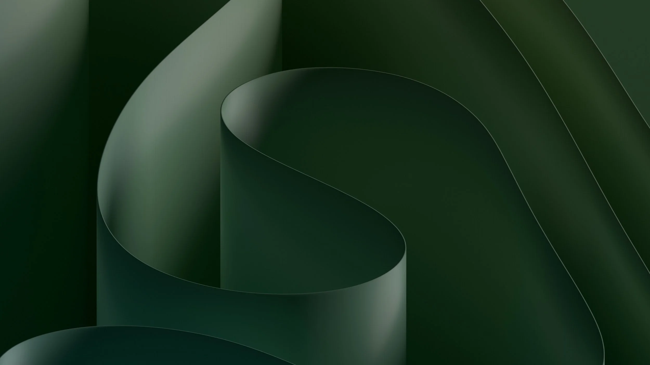 Close-up of a dark green abstract sculpture made of smooth, curved, tubular shapes.