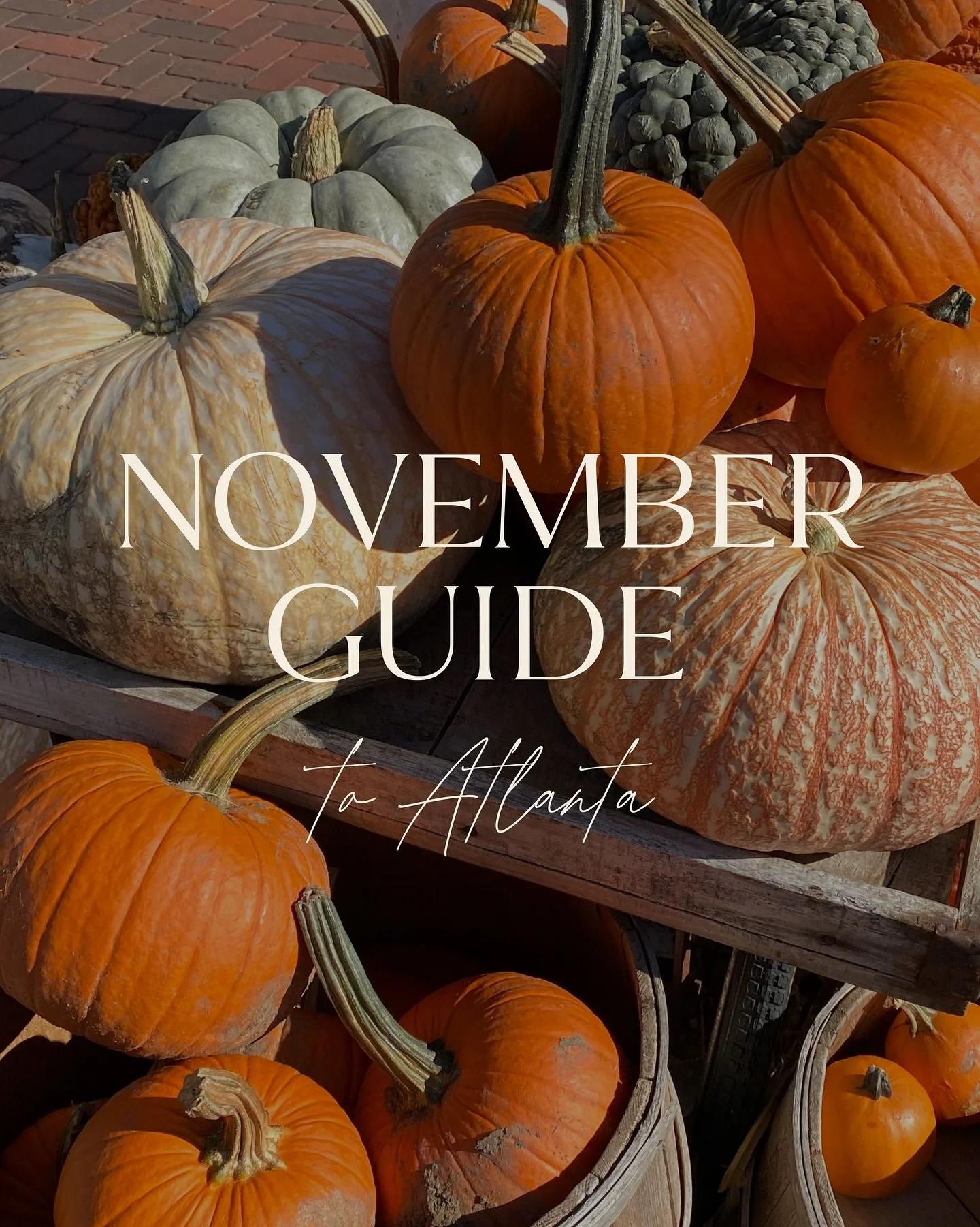 Everything going on in Atlanta this November 👉 🍂

Holiday shopping is in full swing and the best family-friendly events are popping up all month long.

✨ Want the full list of events this month?

👉 Comment &ldquo;EMAIL&rdquo; to get on my newslett