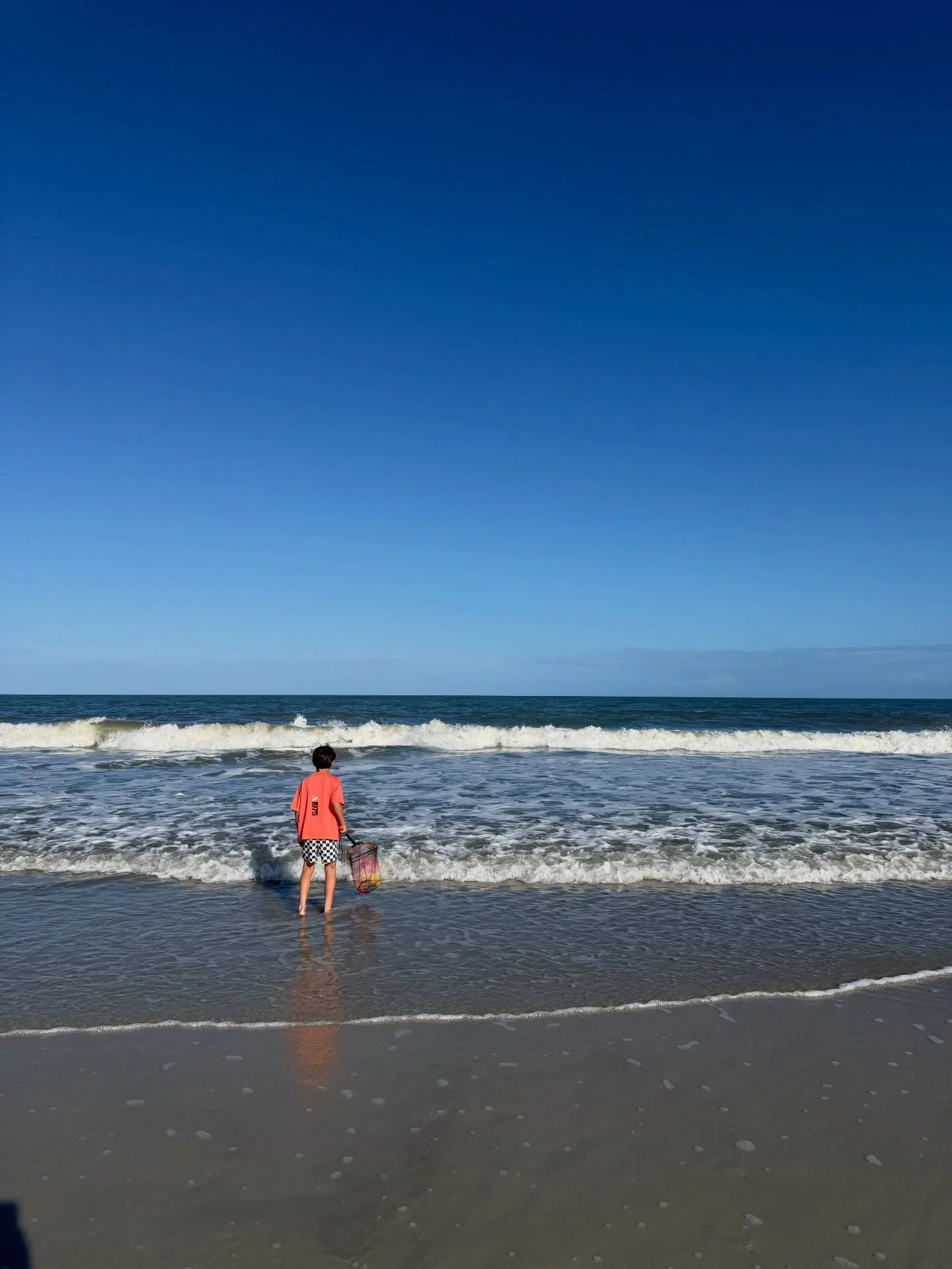 beach-ish week 🐚🌊🍤🌿🤍🌴