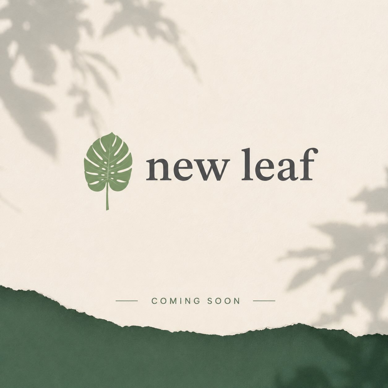 Exciting times! 

#newleaf #newbeginnings