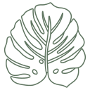 Leaf icon
