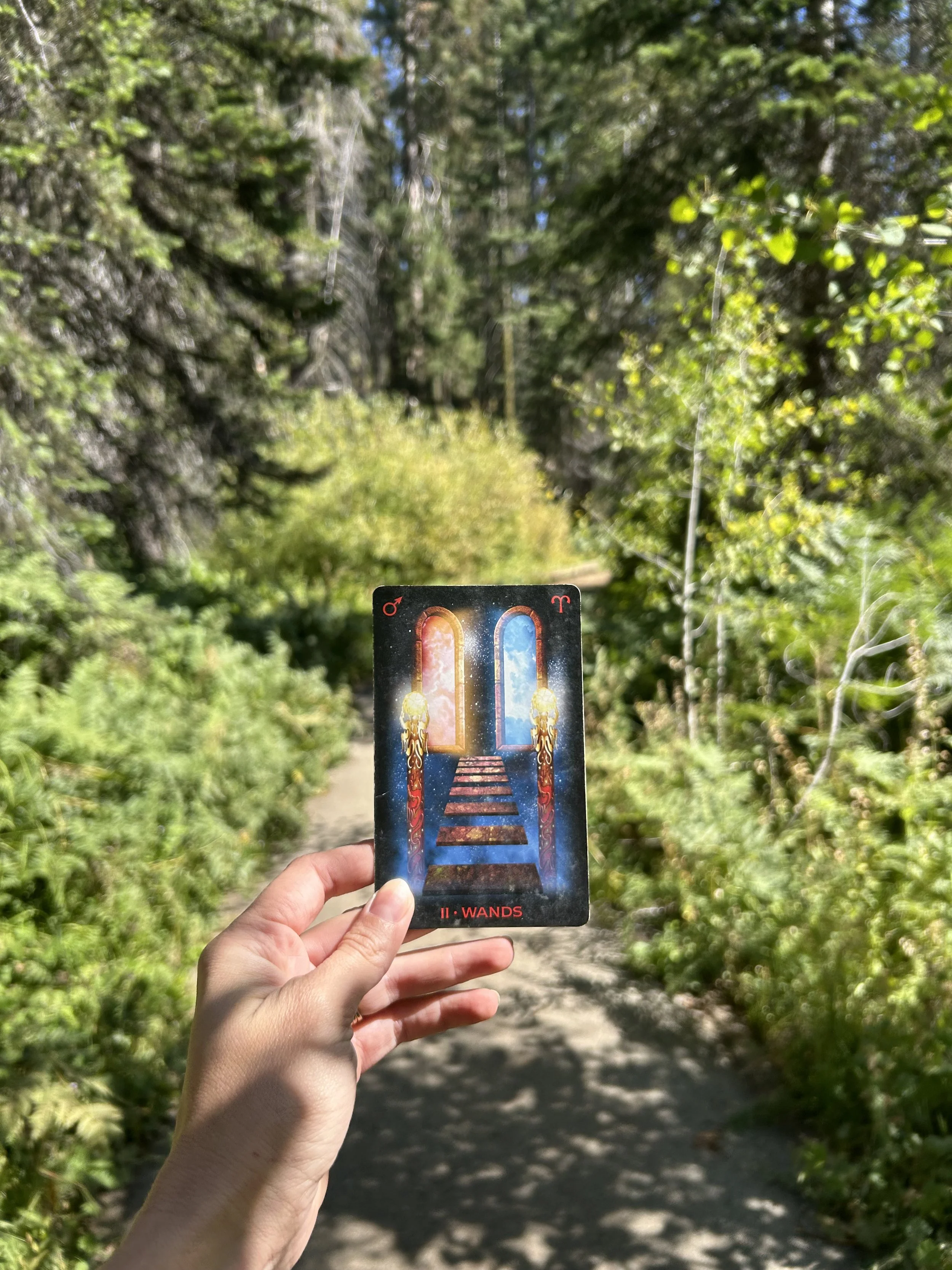 the two of wands shows us walking the path and gathering more information before we make a decision. there are opportunities for us, we must walk to greet them. this card is held up by my hand against a bright green background of trees along a path.