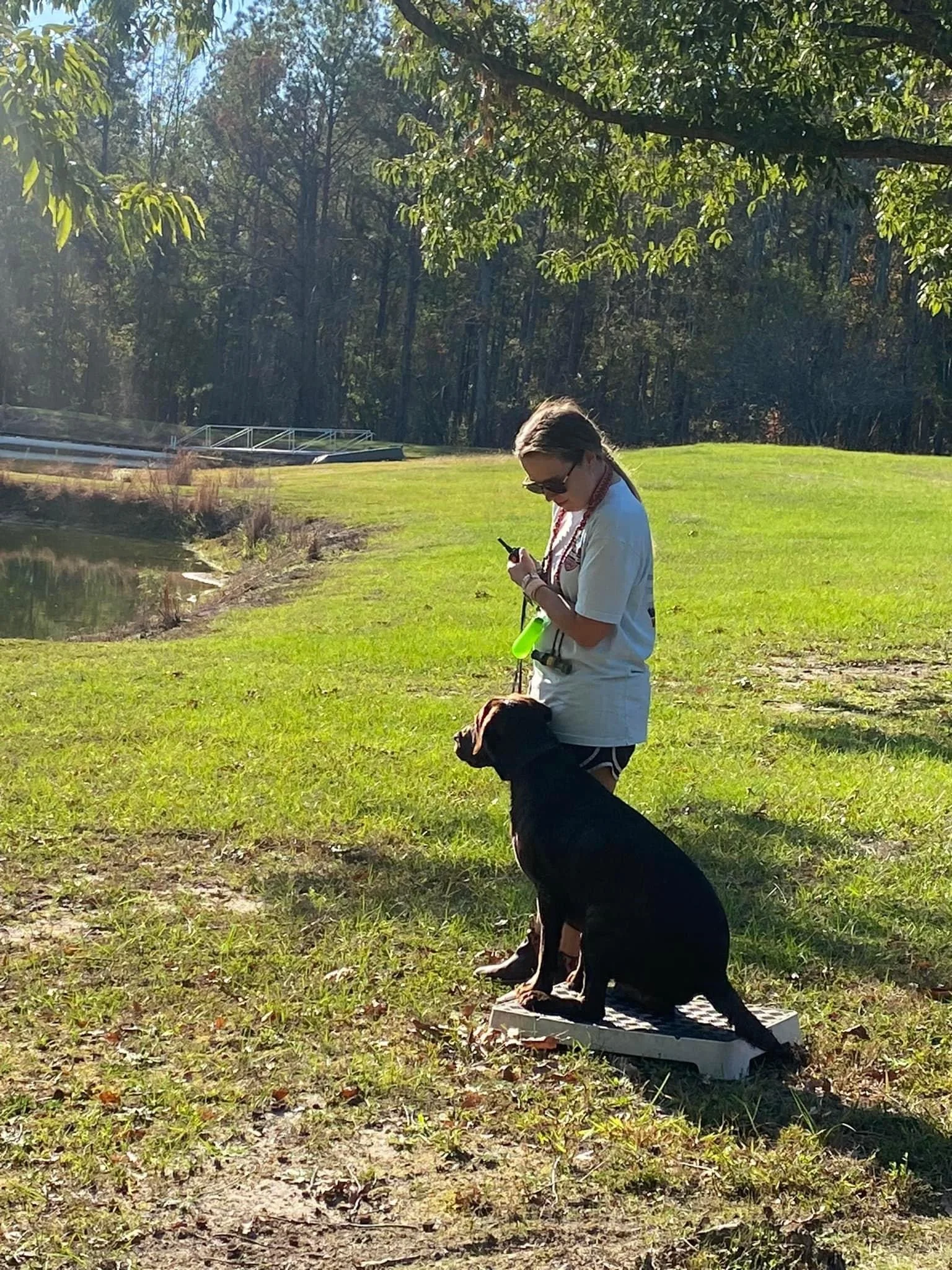 Questions to Ask When Choosing a Dog Trainer