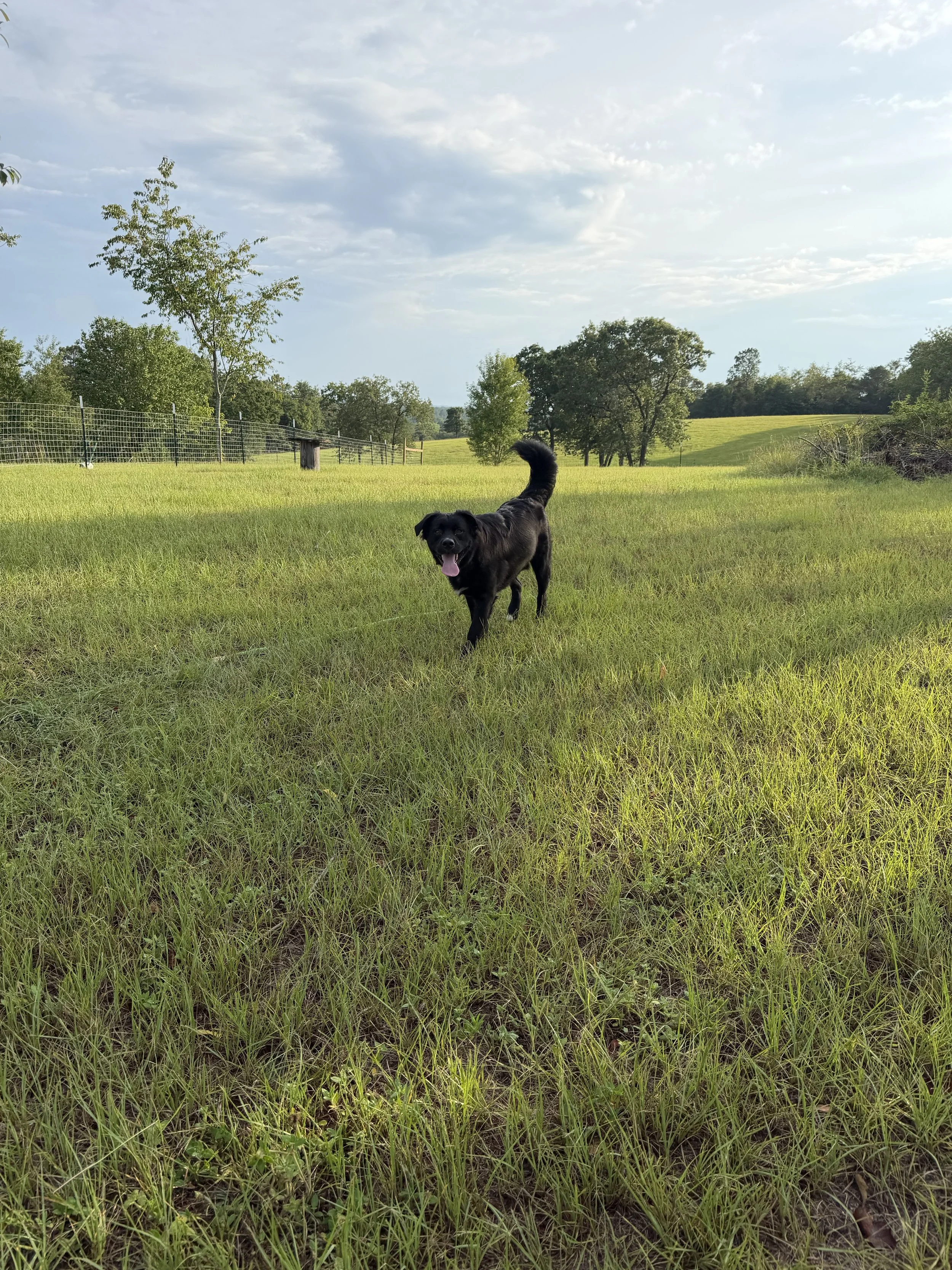 IMG_1123.jpeg