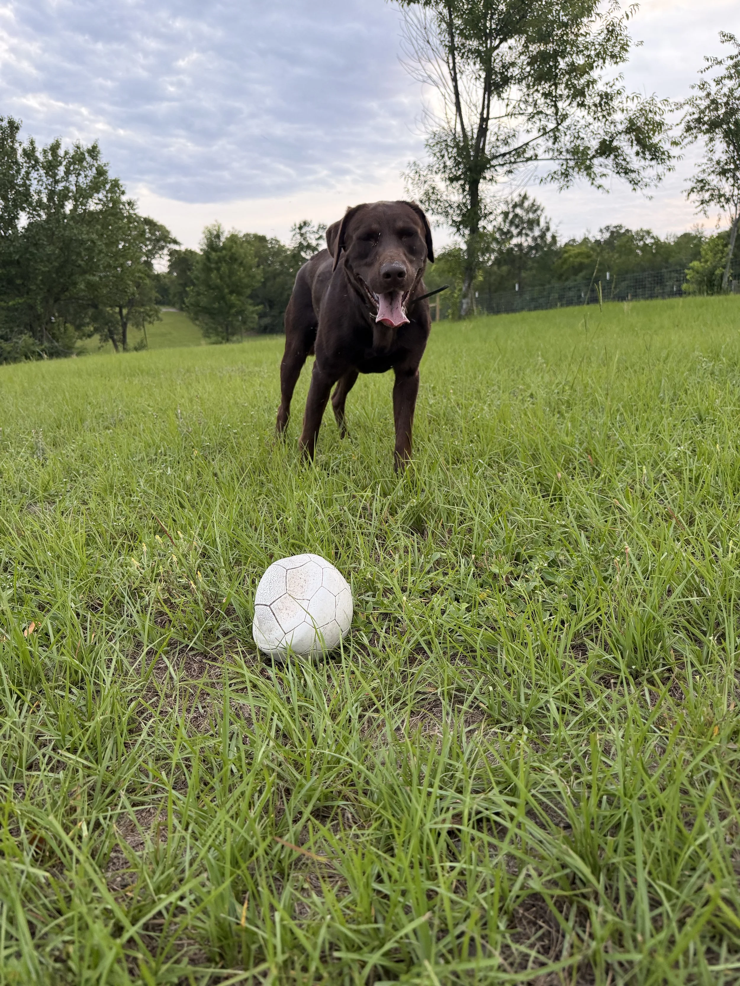 IMG_6316.jpeg