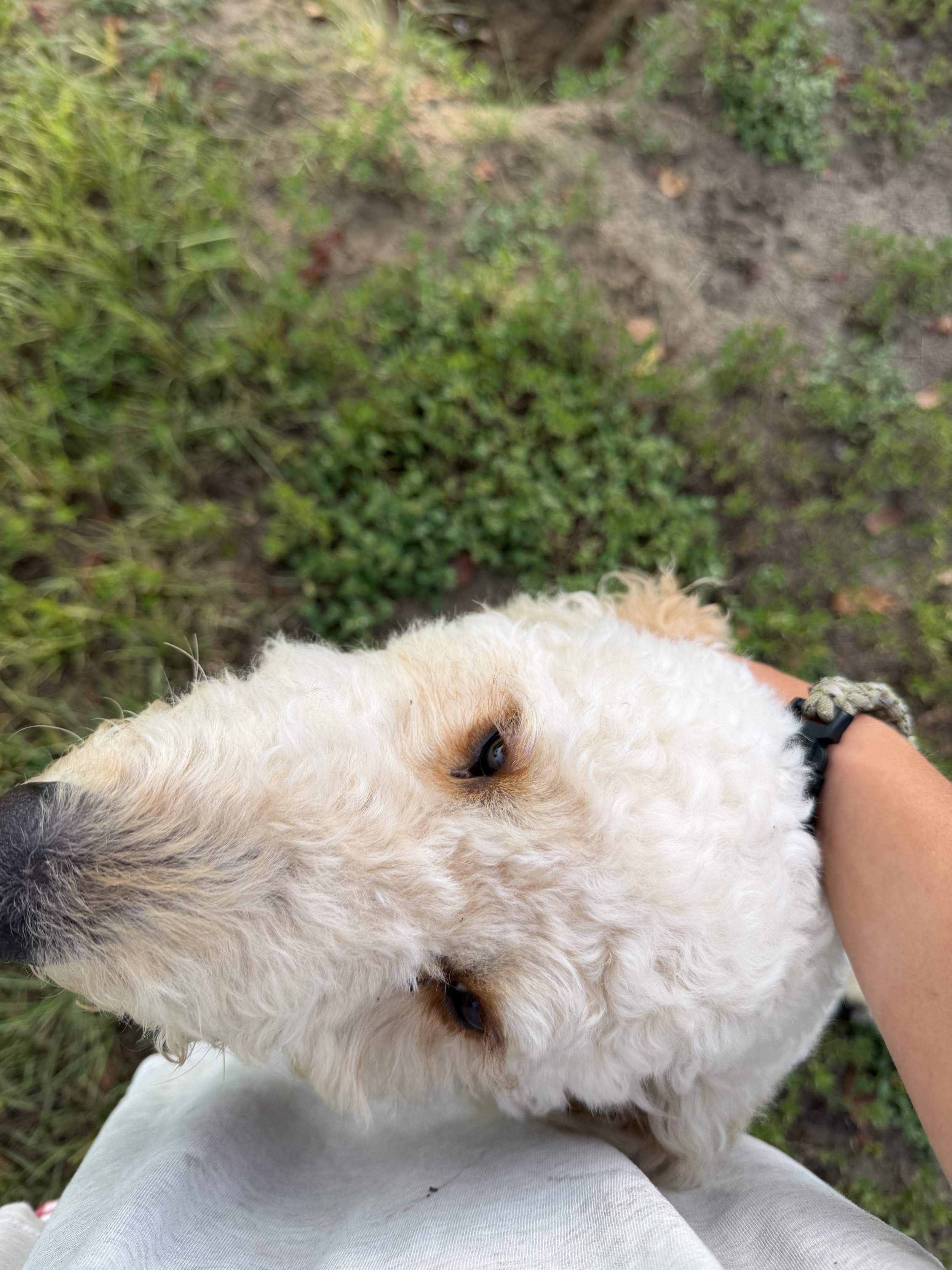 IMG_1127.jpeg