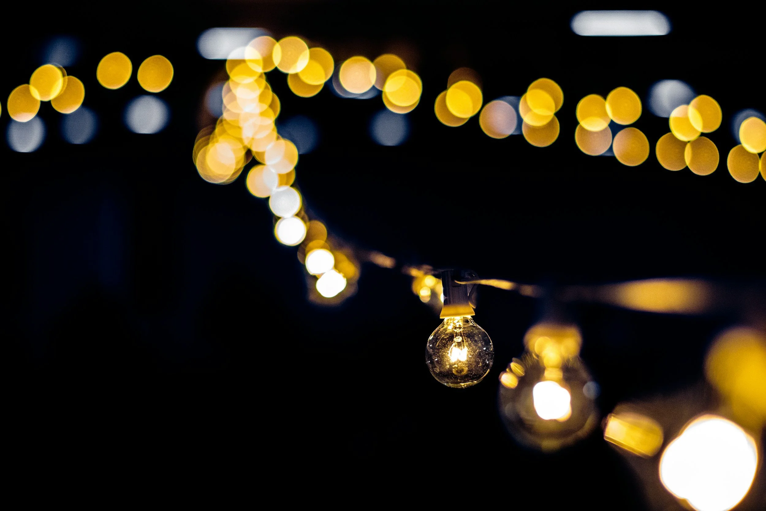 Commercial-Grade LED Christmas Lights