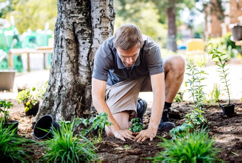 Community garden, charity, RHS, gardener, planting, Nick Keenan, Wild In Design, garden design