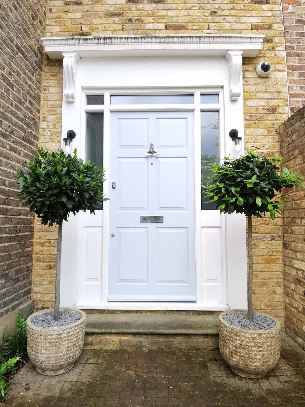 Potted bay tree, front door planting, garden design