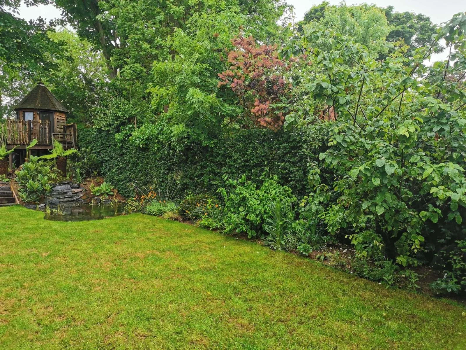 Wildlife pond, tree house, green screens, garden design
