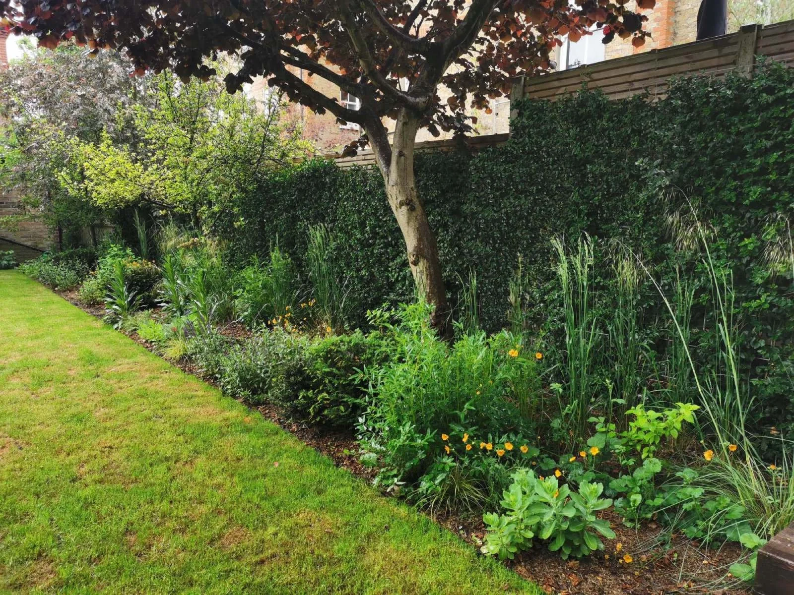 Herbaceous border, green screens, garden design