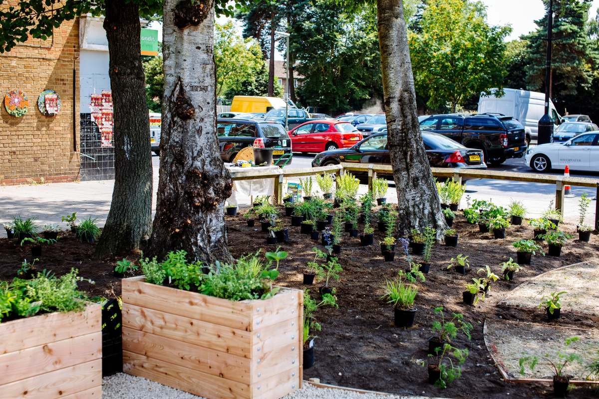 RHS Community Garden 2018