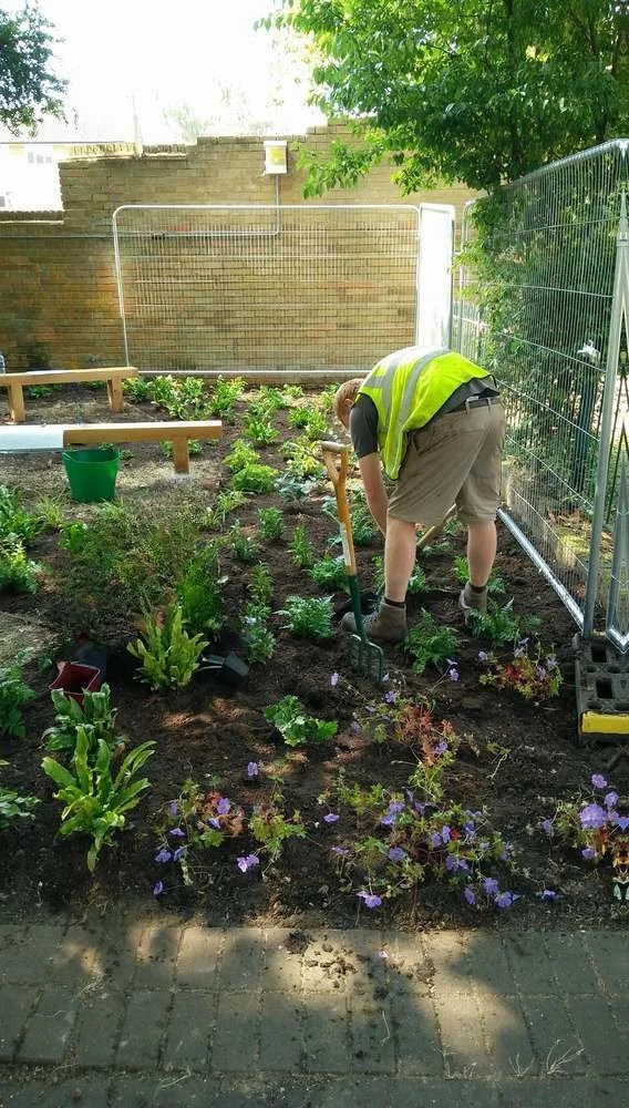 Community garden, charity, RHS, shade garden, herbaceous plants, gardener, planting, garden design