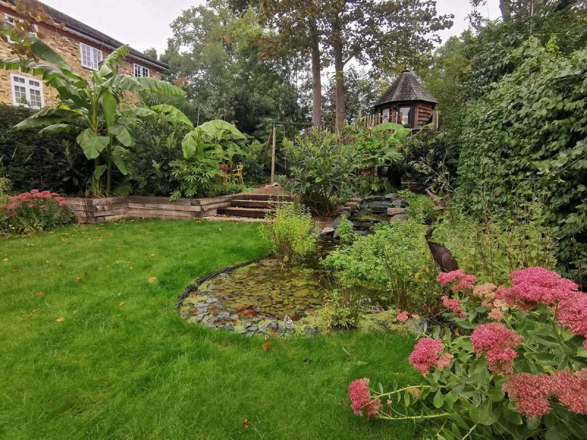 Wildlife pond, garden design