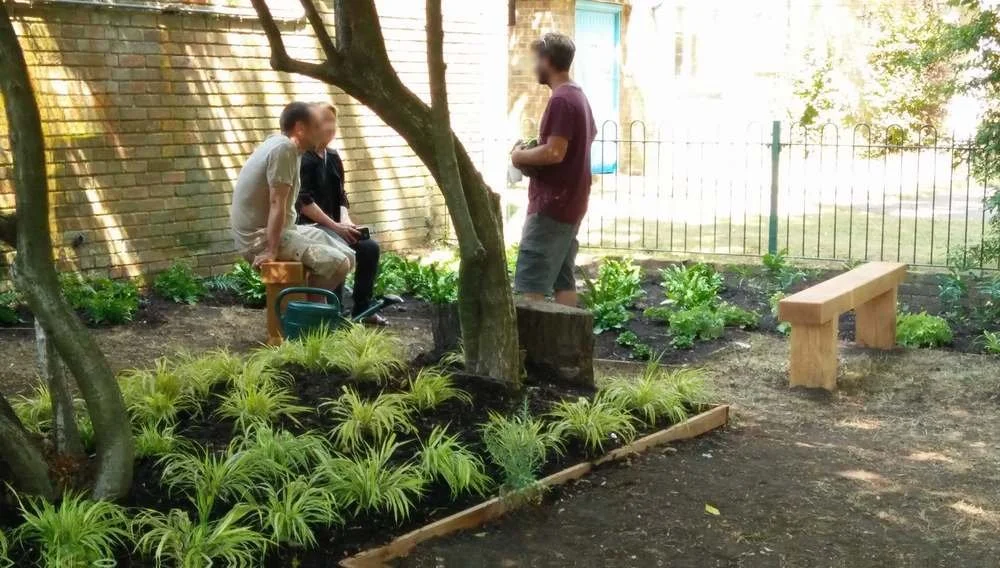 Community garden, charity, RHS, herbaceous, wooden bench, shade garden, garden design
