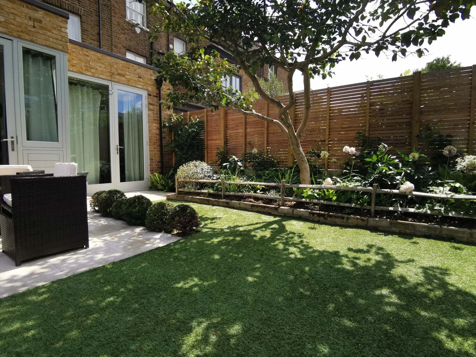 City garden, patio, Camellia, Taxus domes, Hydrangea petiolaris, semi-shade border, garden design