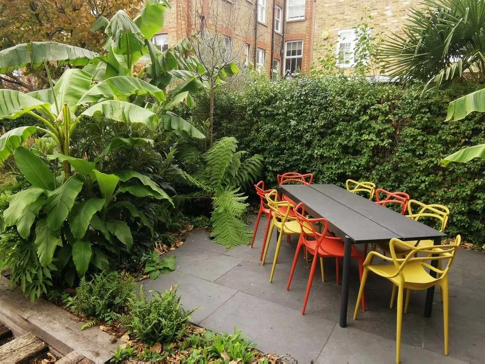 Patio with jungle planting, Musa basjoo, banana tree, garden furniture, garden design, Brazilian black slate