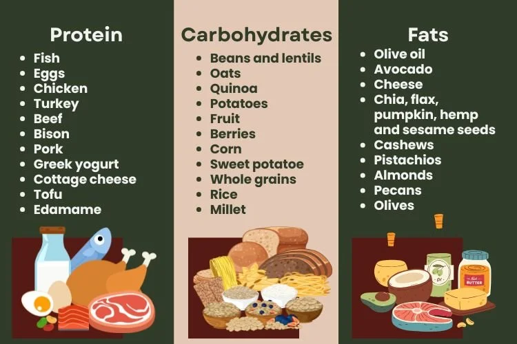 Picture of protein, carb and fat sources