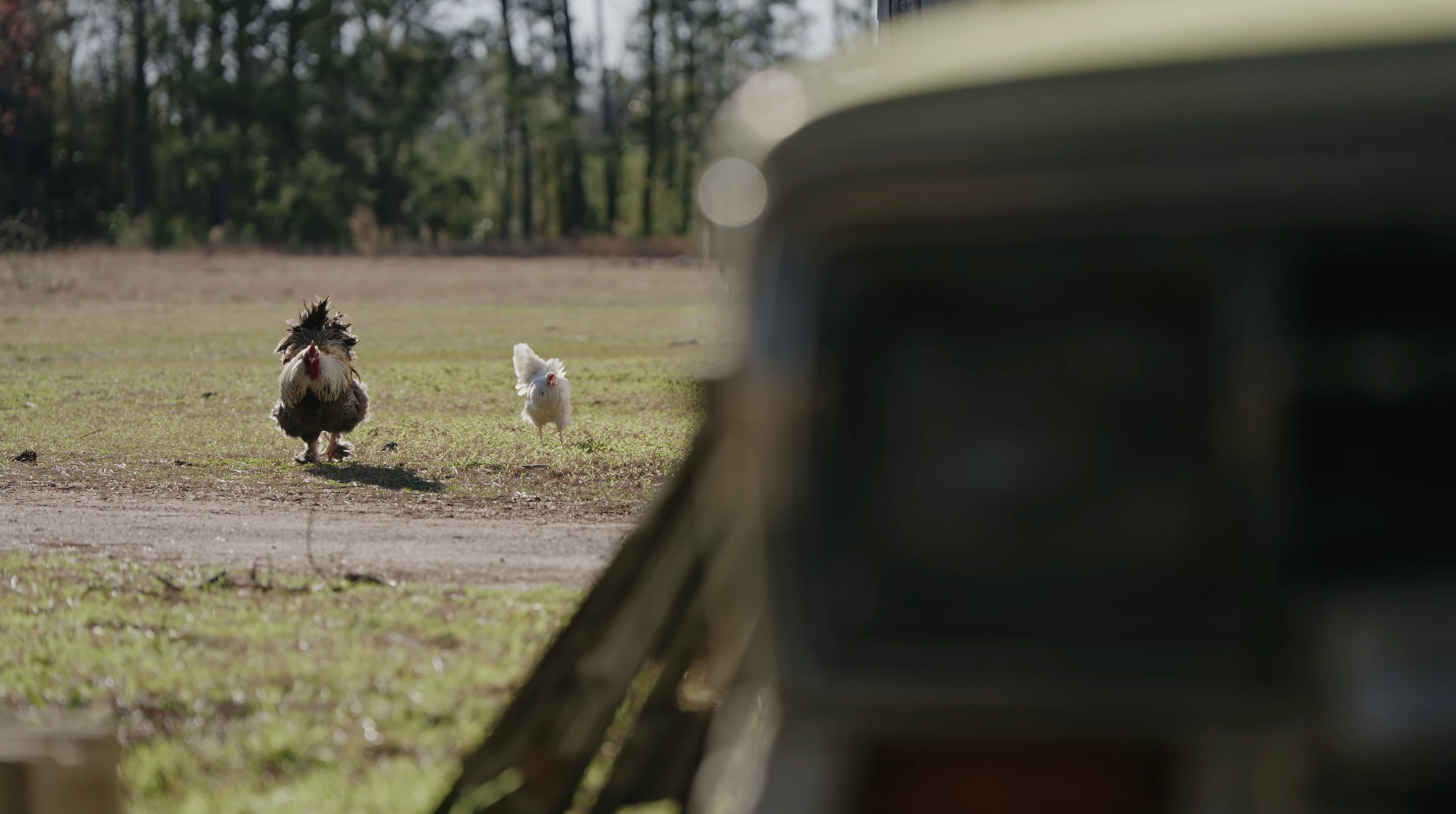 Screenshot 2026-01-12 at 00.01.25.png