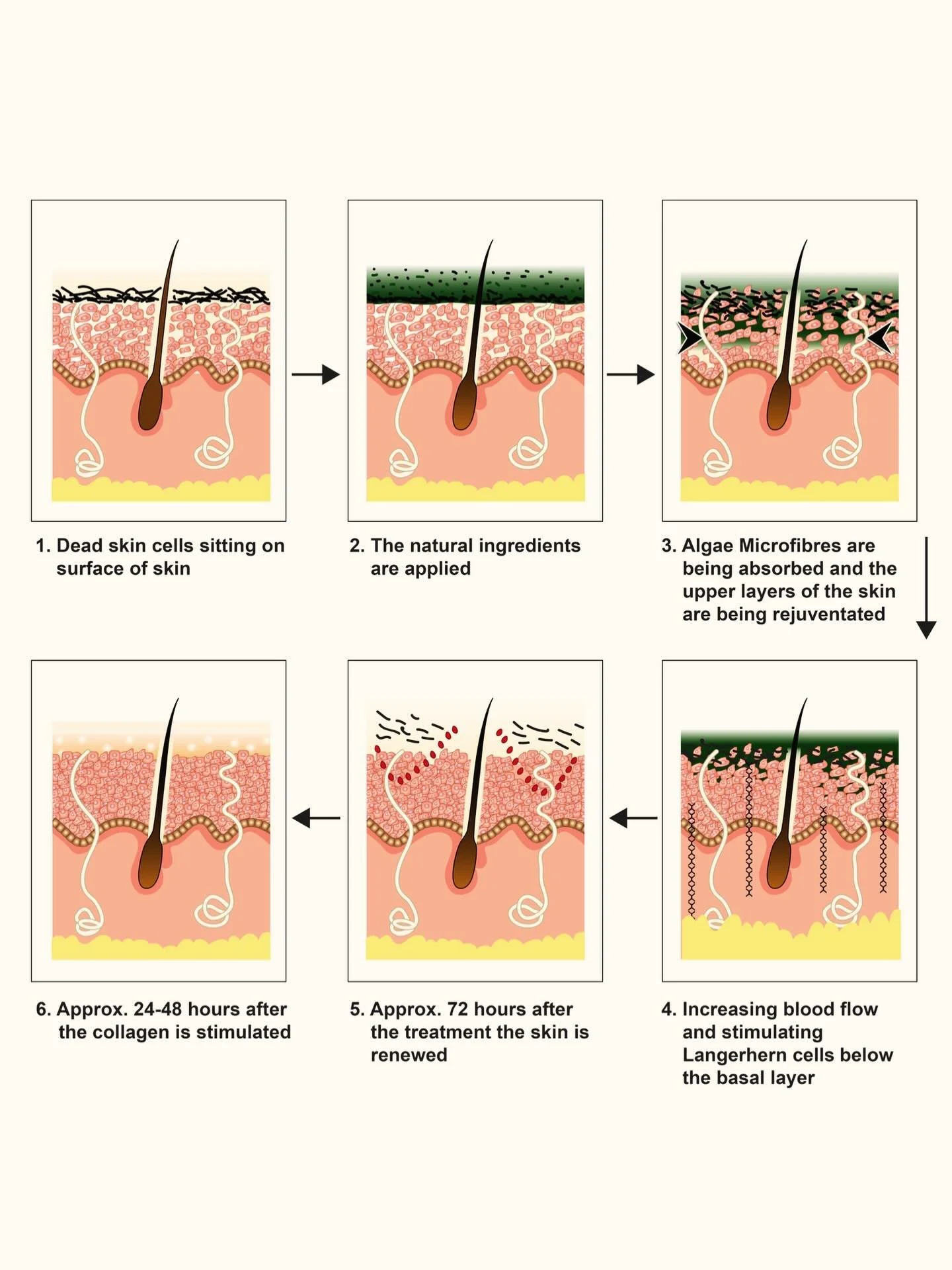 The Algae Peel doesn&rsquo;t strip the skin. It activates it.

Microfibres work beneath the surface to encourage cell renewal and improved circulation, allowing the skin to naturally refresh itself over 24&ndash;72 hours.