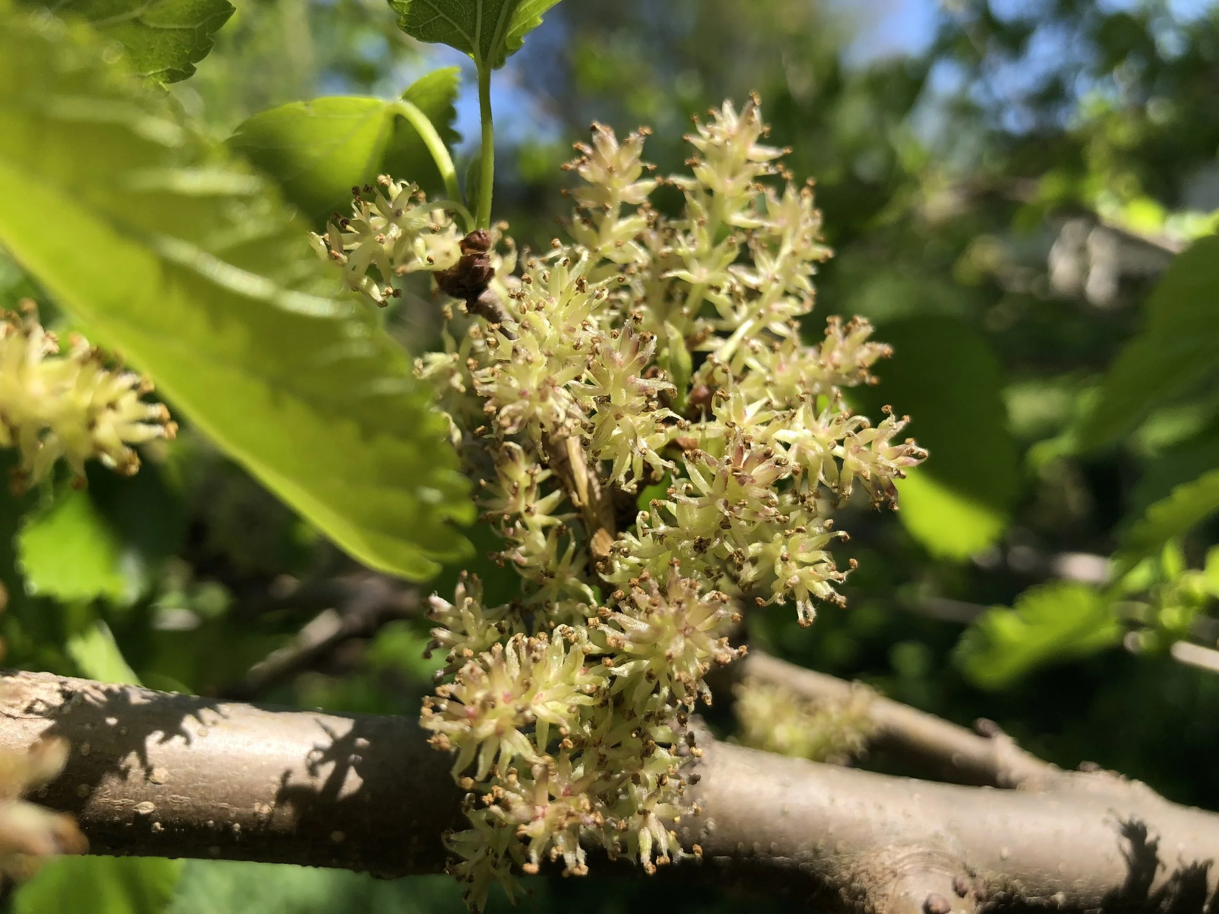 Famartin, CC BY-SA 4.0 <https://creativecommons.org/licenses/by-sa/4.0>, via Wikimedia Commons.jpg