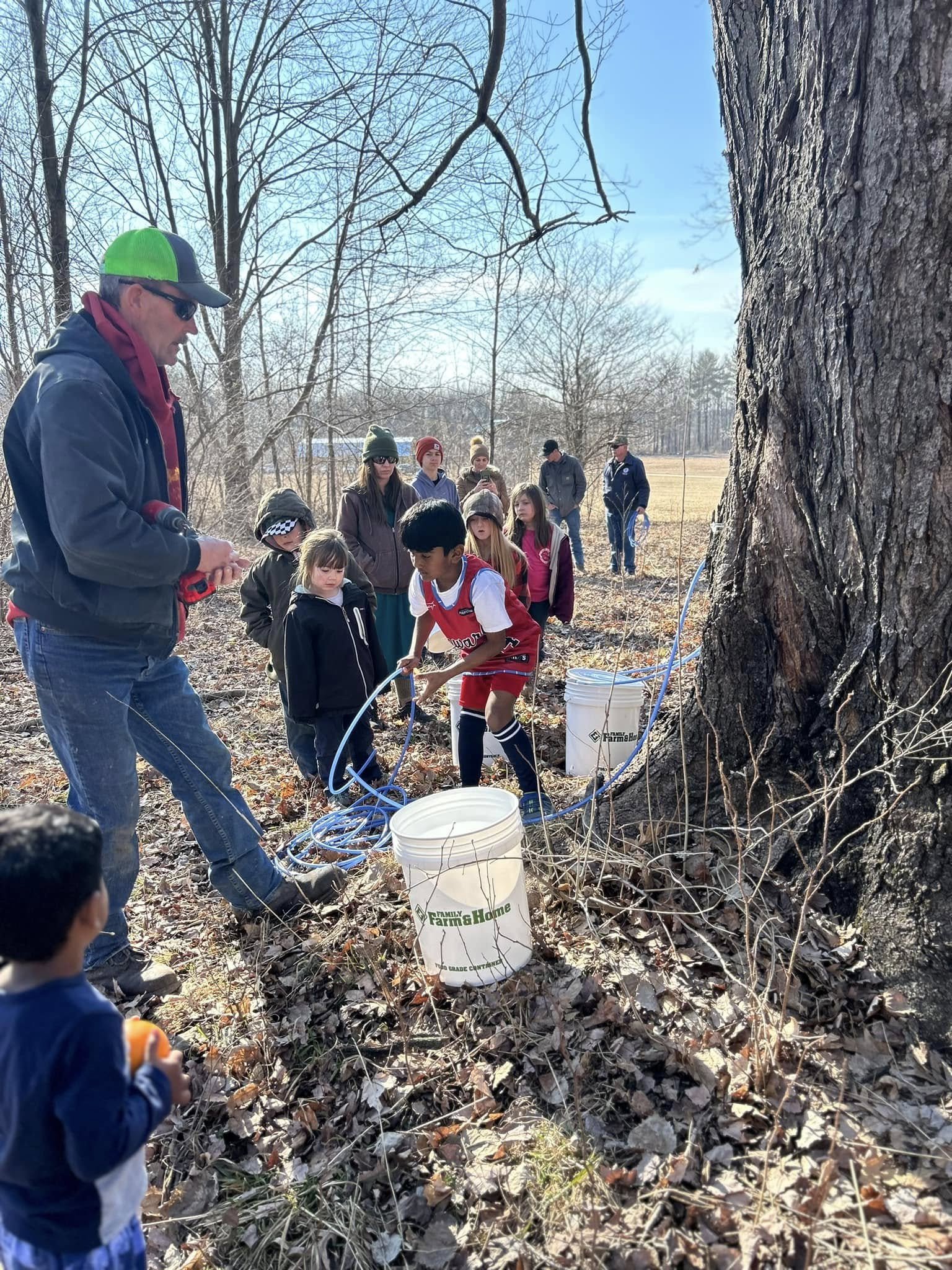 A group of people, including children and an adult, are gathered outdoors around a large treemaple syrup tapping demonstration. Blue hoses are connected to the tree, leading to white buckets labeled 'Family Farm & Home,' to collect sap. The area has