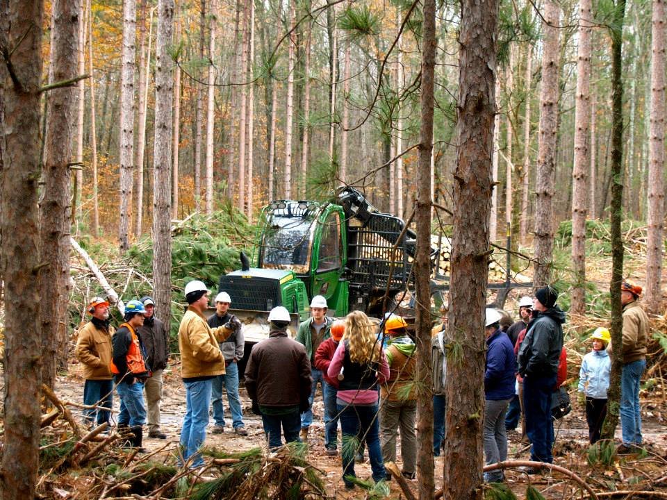 Group of people in a forest with hard hats gathered around forestry equipment.