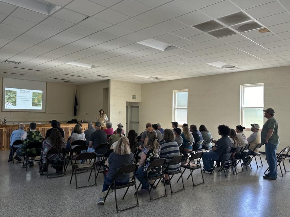 A group of people seated in a room watching a presentation on a projector screen.