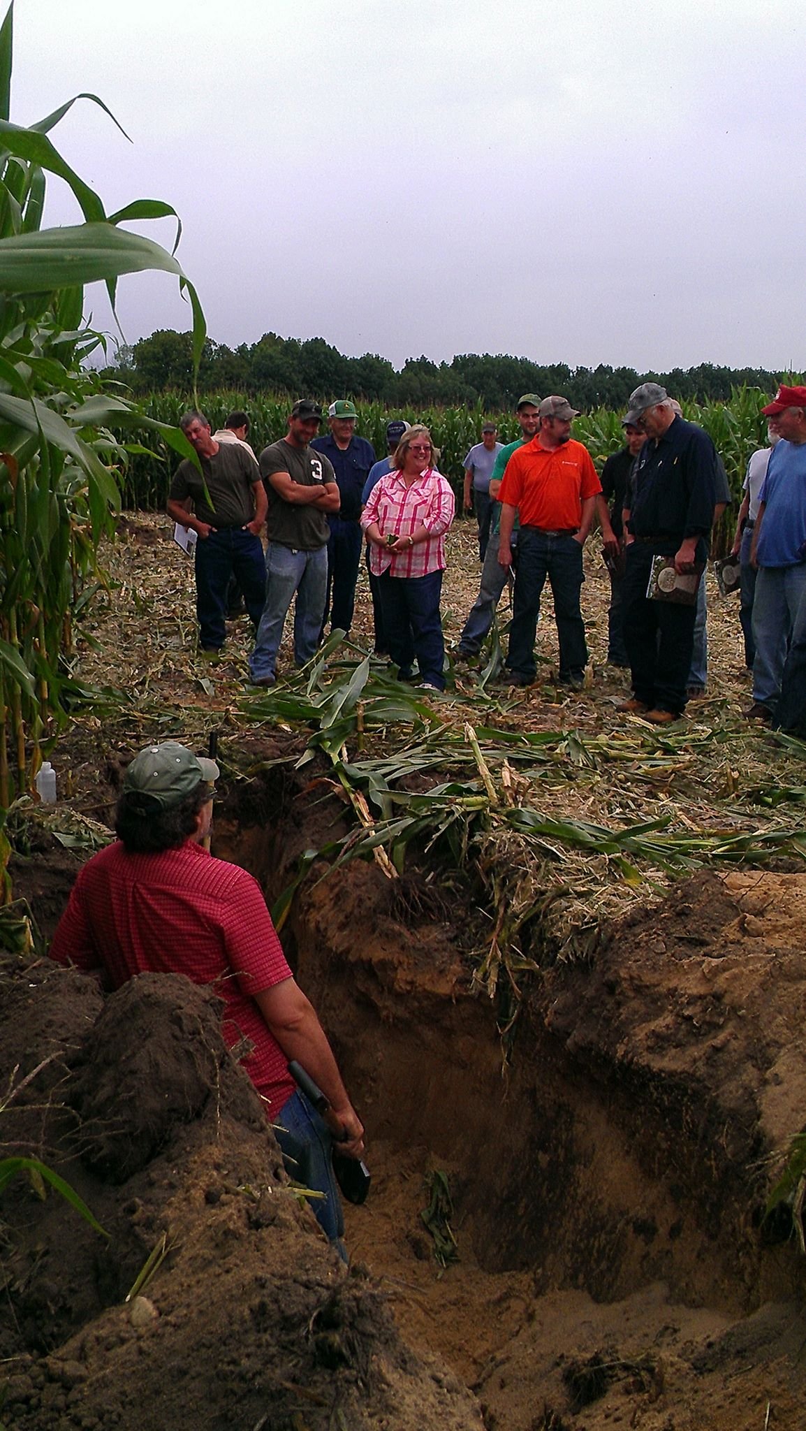 Group of people gathered around a large soil pit in a cornfield, observing or participating in a field demonstration of soil study.