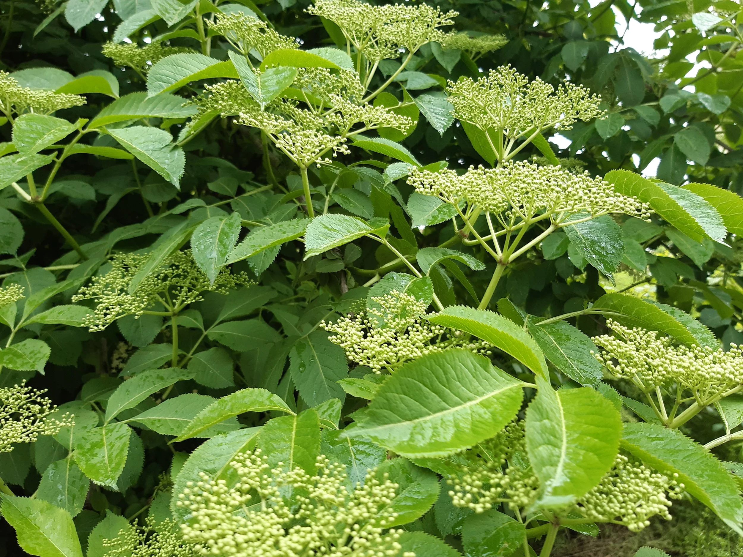 ата, CC0, via Wikimedia Commons.jpg