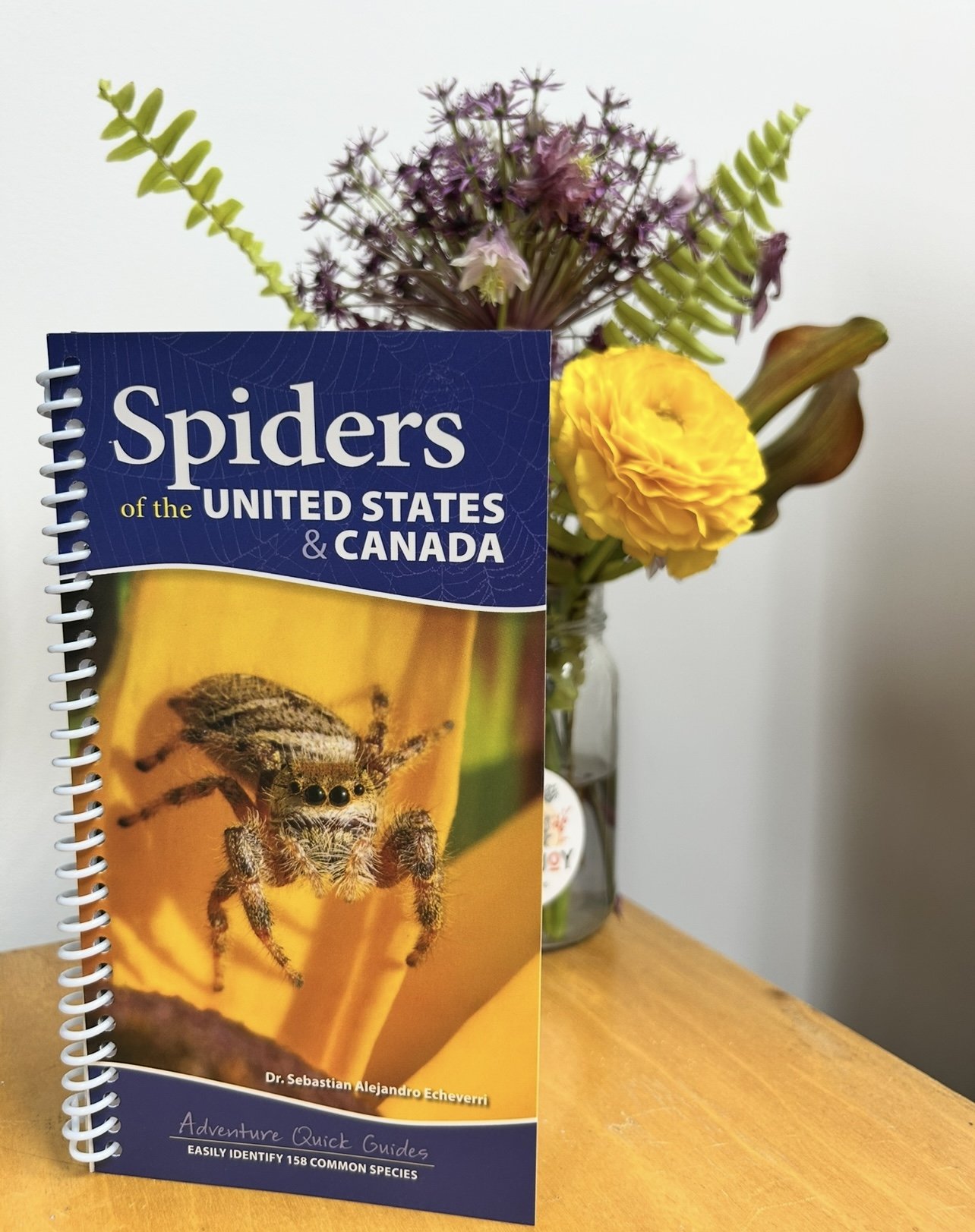 Front cover of Spiders of the United States & Canada